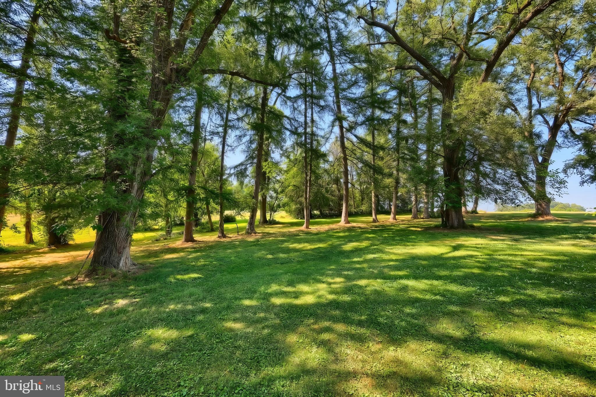 NONE, RURAL - Residential