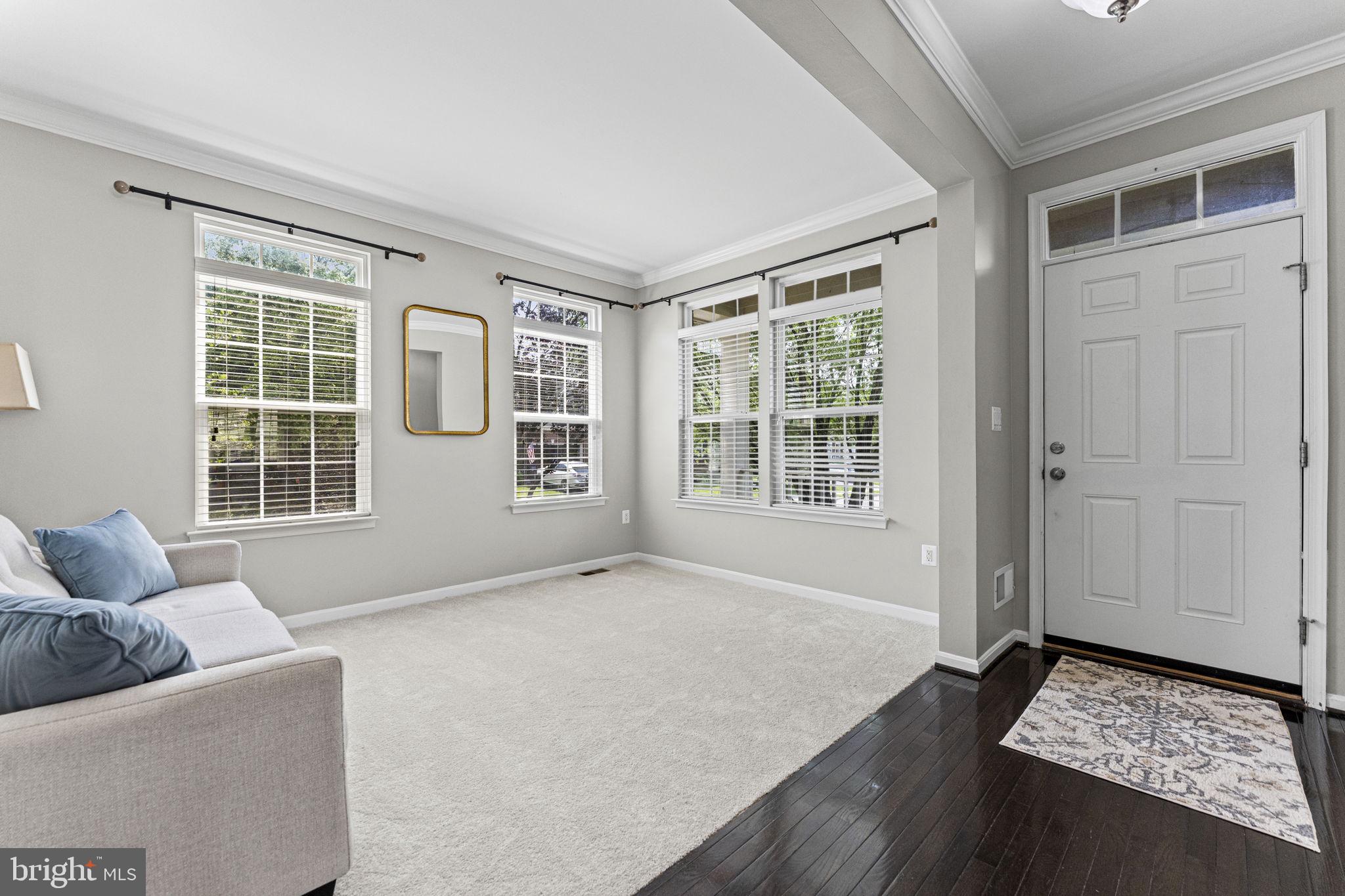 MEADOW VIEW - Residential