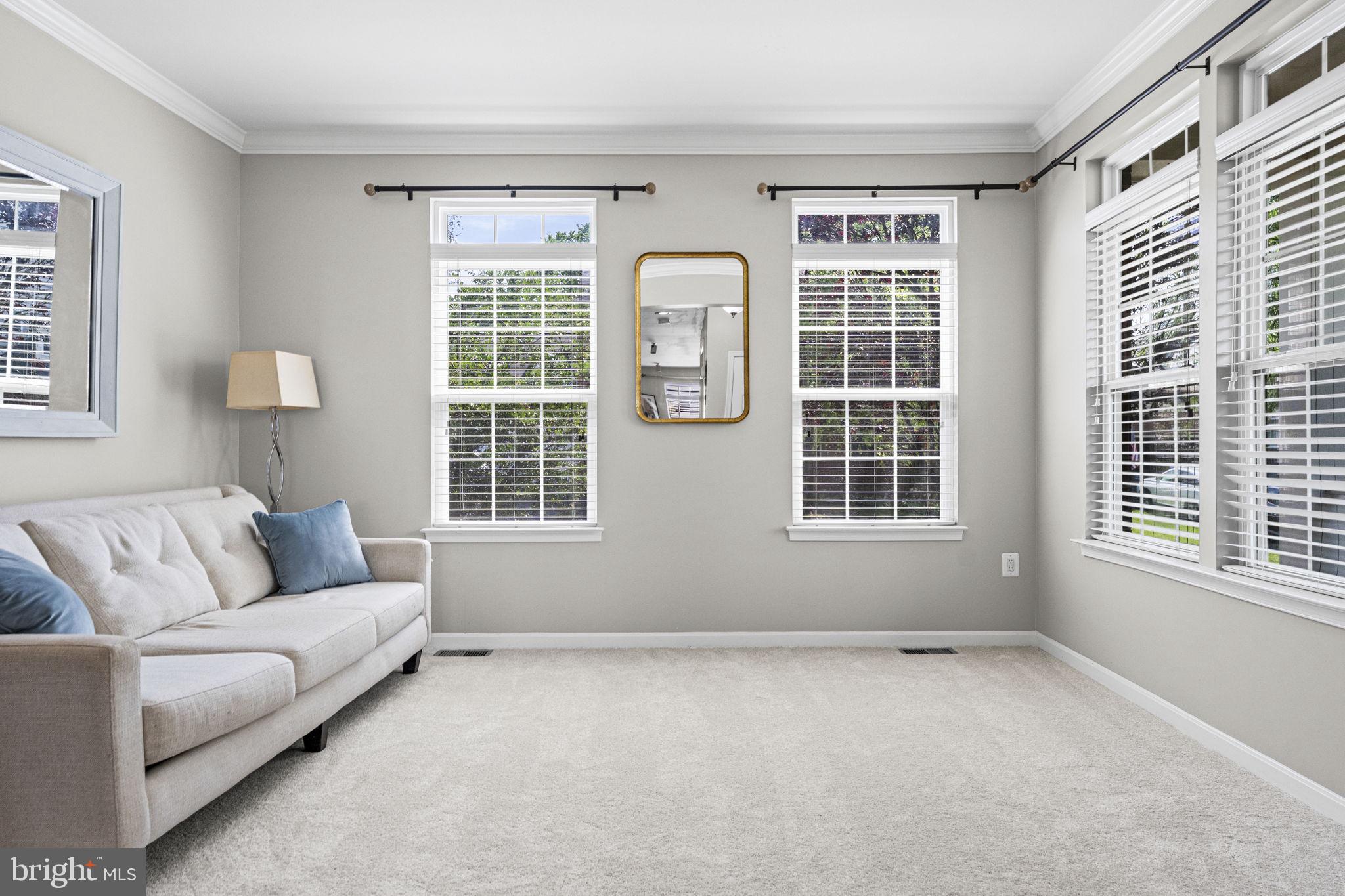 MEADOW VIEW - Residential
