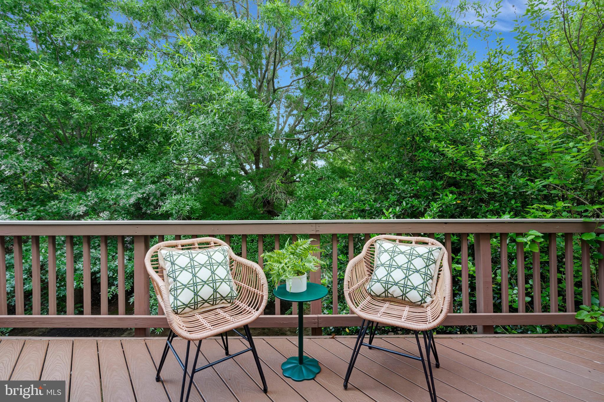 VILLAGE AT HERNDON MILLS - Residential