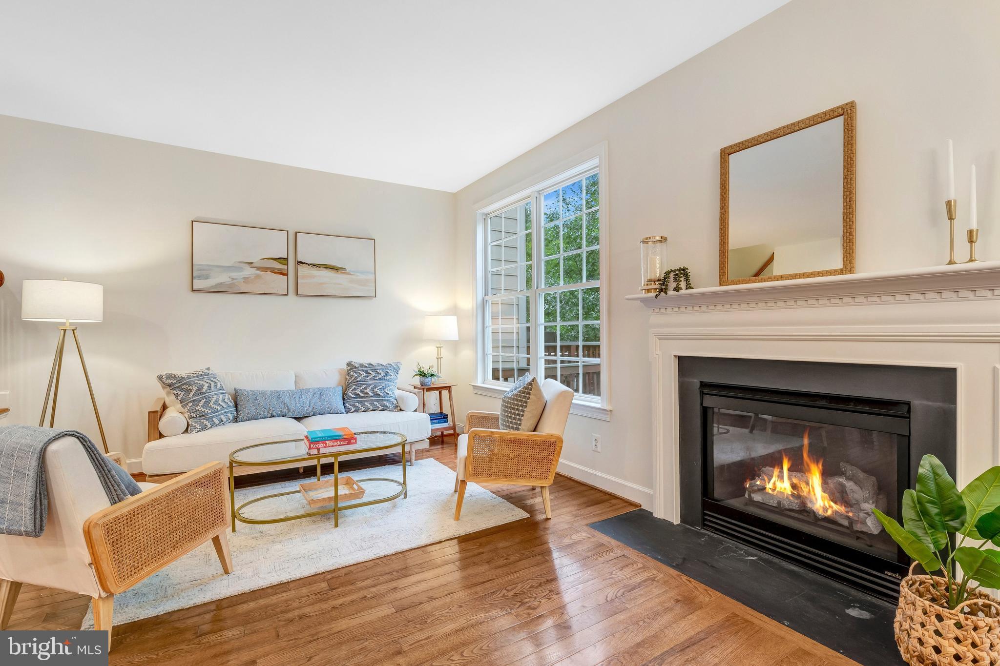 VILLAGE AT HERNDON MILLS - Residential