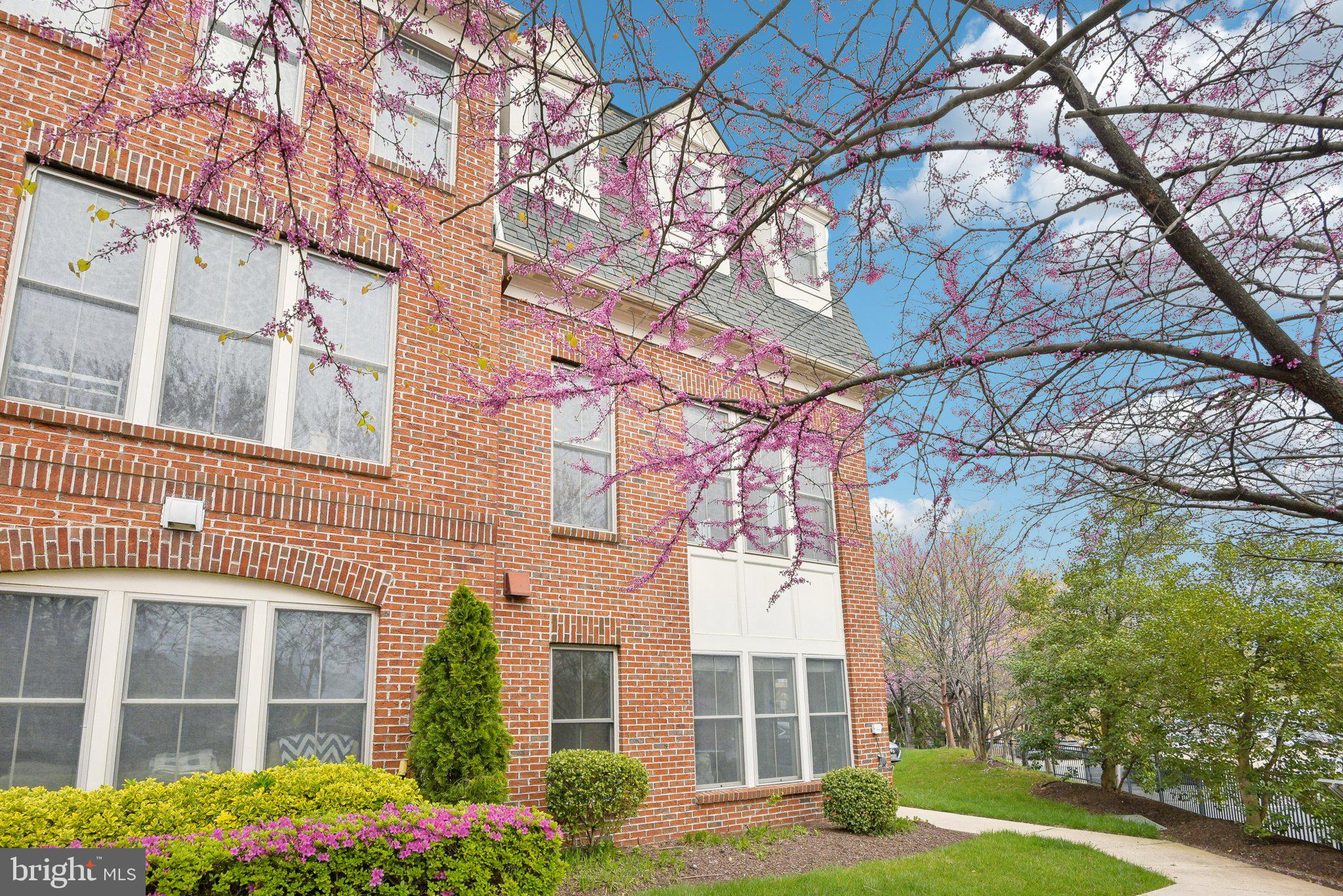 Welcome to 3501 S Four Mile Run Drive, a luxurious four-level end-unit townhome in the coveted Shirlington Crest community with Roof Top Terrace. This rare and spacious Tuscany model offers one of the most versatile and desirable floor plans in the neighborhood, with walls of windows on three sides, southeast exposure, and exceptional natural light. Thoughtfully positioned for maximum privacy, this home features expansive living and dining areas, an open-concept kitchen with modern finishes, and seamless indoor-outdoor flow. With 3 bedrooms, 4 bathrooms, and a two-car garage, hardwood floors on the main level, a gas fireplace, fresh paint, new carpet, and smart, functional updates throughout. Upstairs, generously sized bedrooms offer ample closet space, while the private rooftop terrace provides the perfect retreat for relaxing or entertaining. Additional highlights include abundant storage, a private lot setting, and unbeatable access to public transportation. Just a short stroll to the shops, dining, and entertainment of Shirlington Village—and minutes to the Pentagon, DC, and Old Town Alexandria—this home delivers the best of upscale urban living in a tranquil community setting.