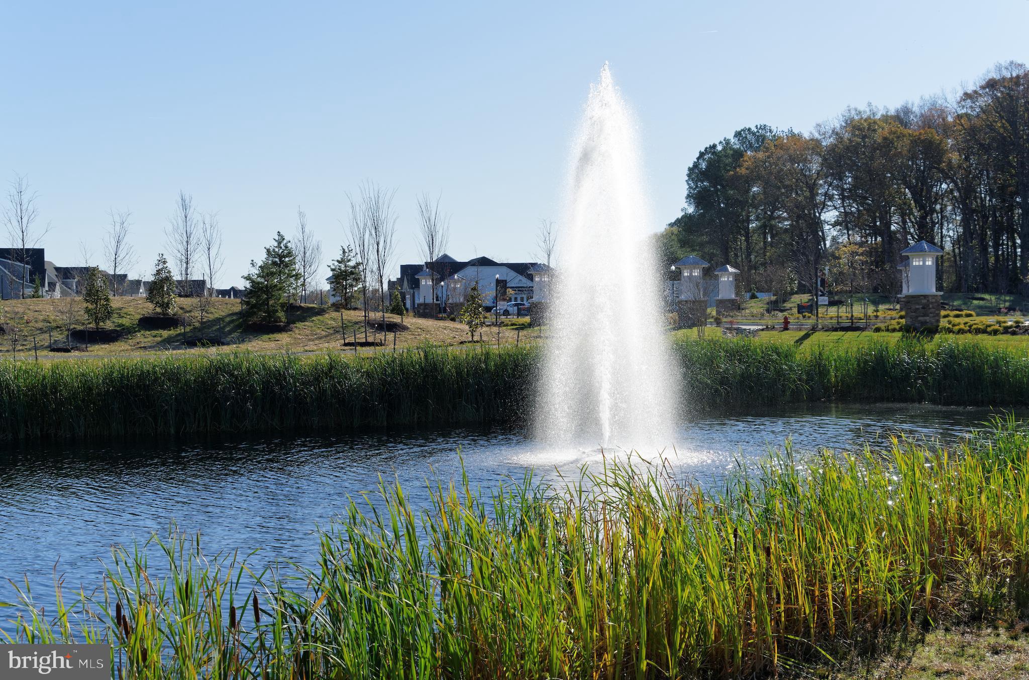 LAKESIDE AT TRAPPE - Residential