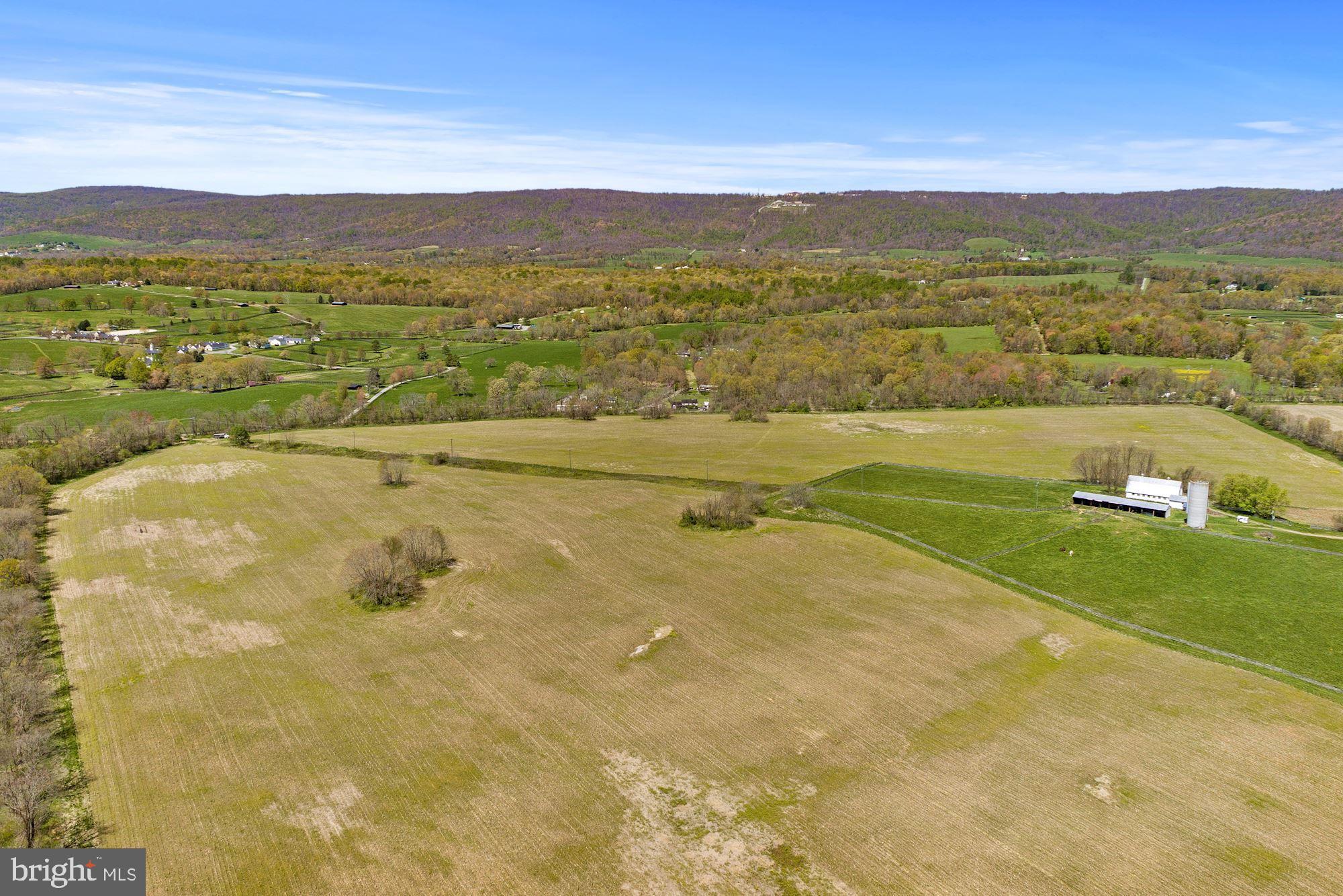 BLUEMONT - Residential