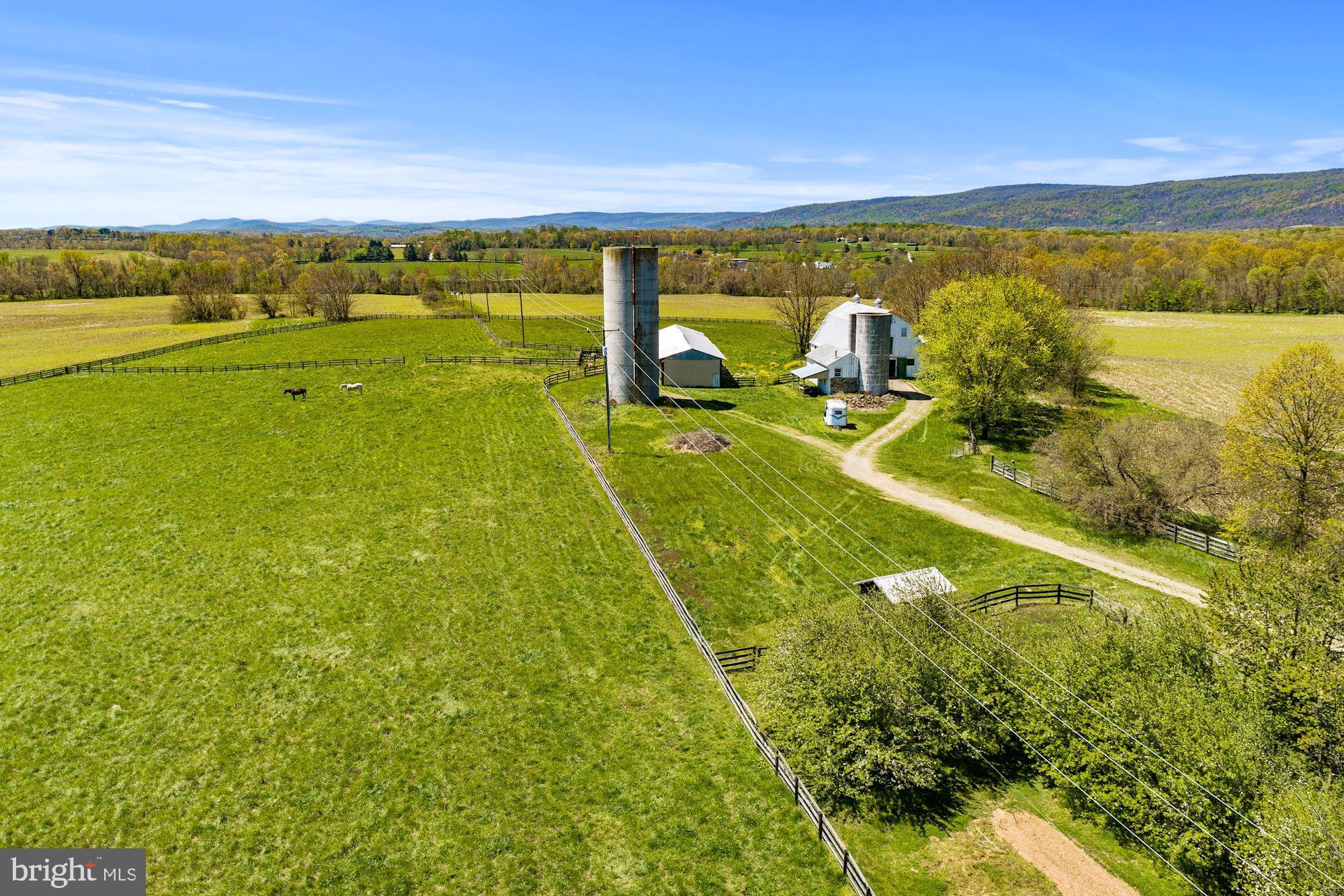 BLUEMONT - Residential