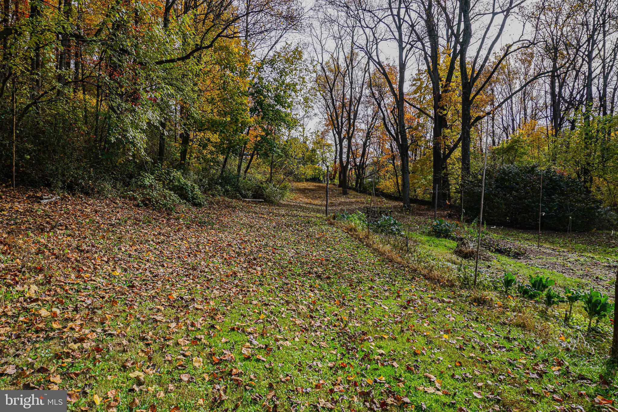 SHREWSBURY TWP - Farm