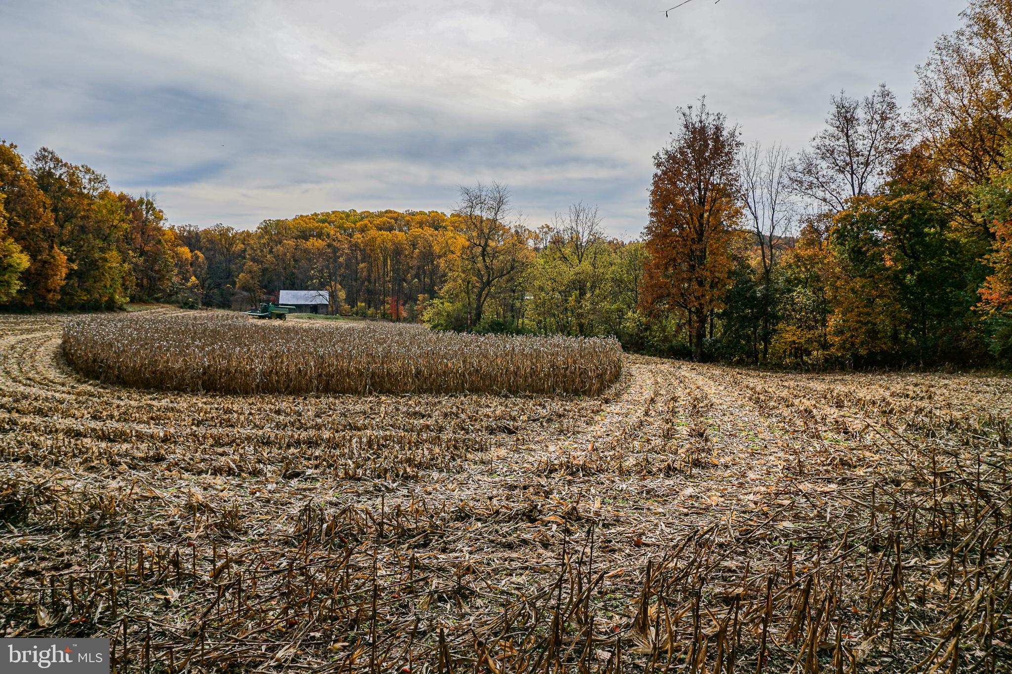 SHREWSBURY TWP - Farm