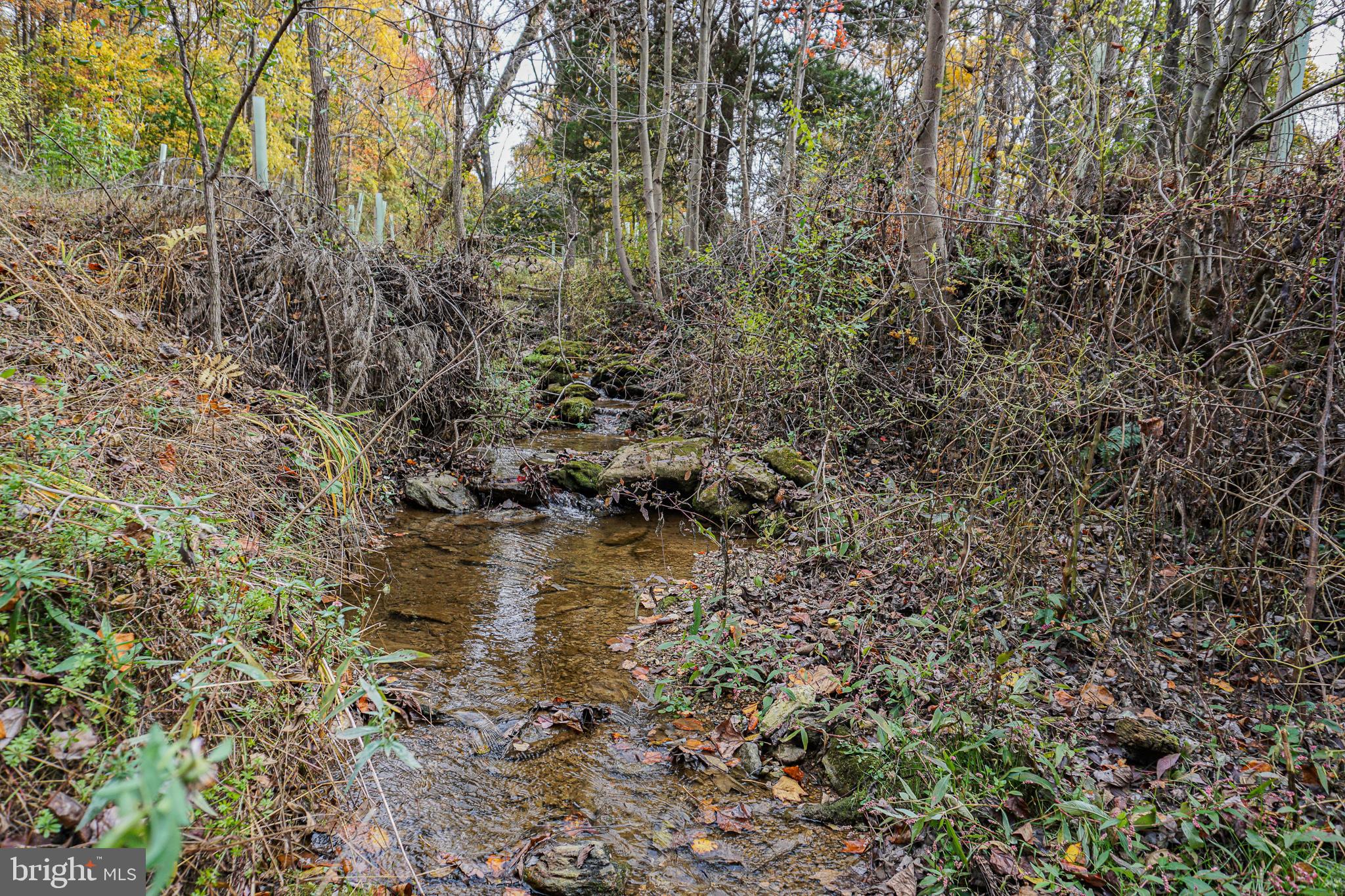 SHREWSBURY TWP - Farm