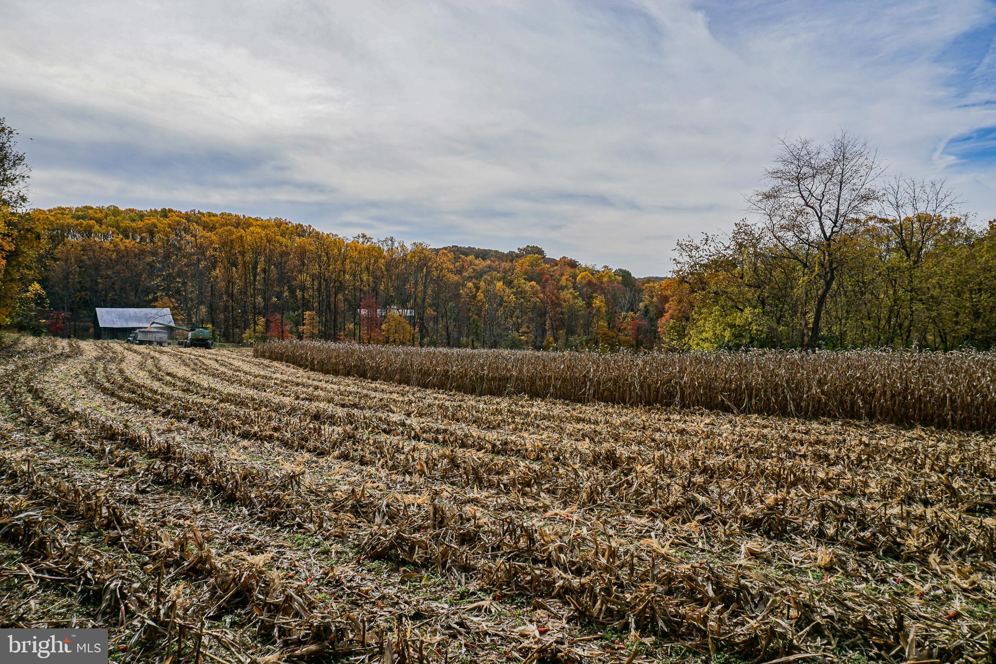 SHREWSBURY TWP - Farm