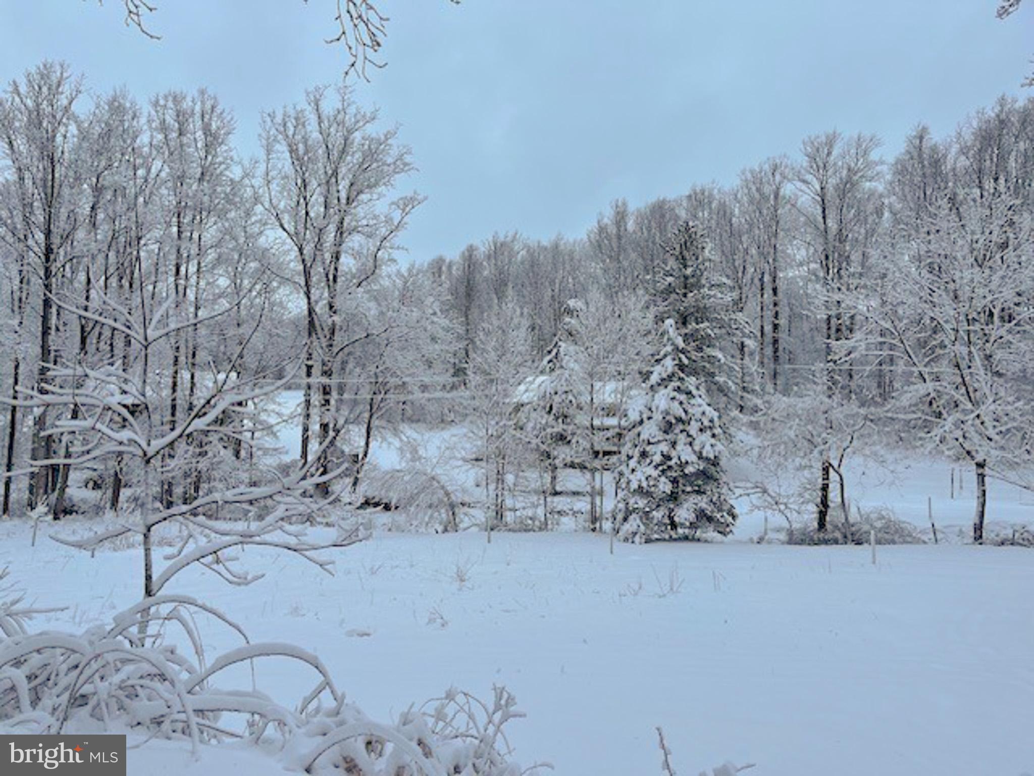 SHREWSBURY TWP - Farm