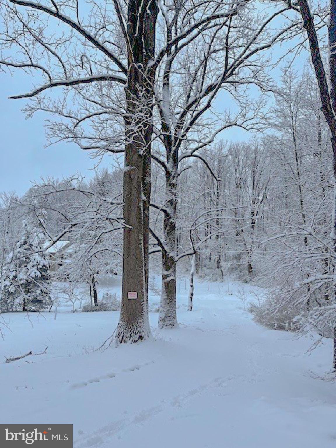 SHREWSBURY TWP - Farm