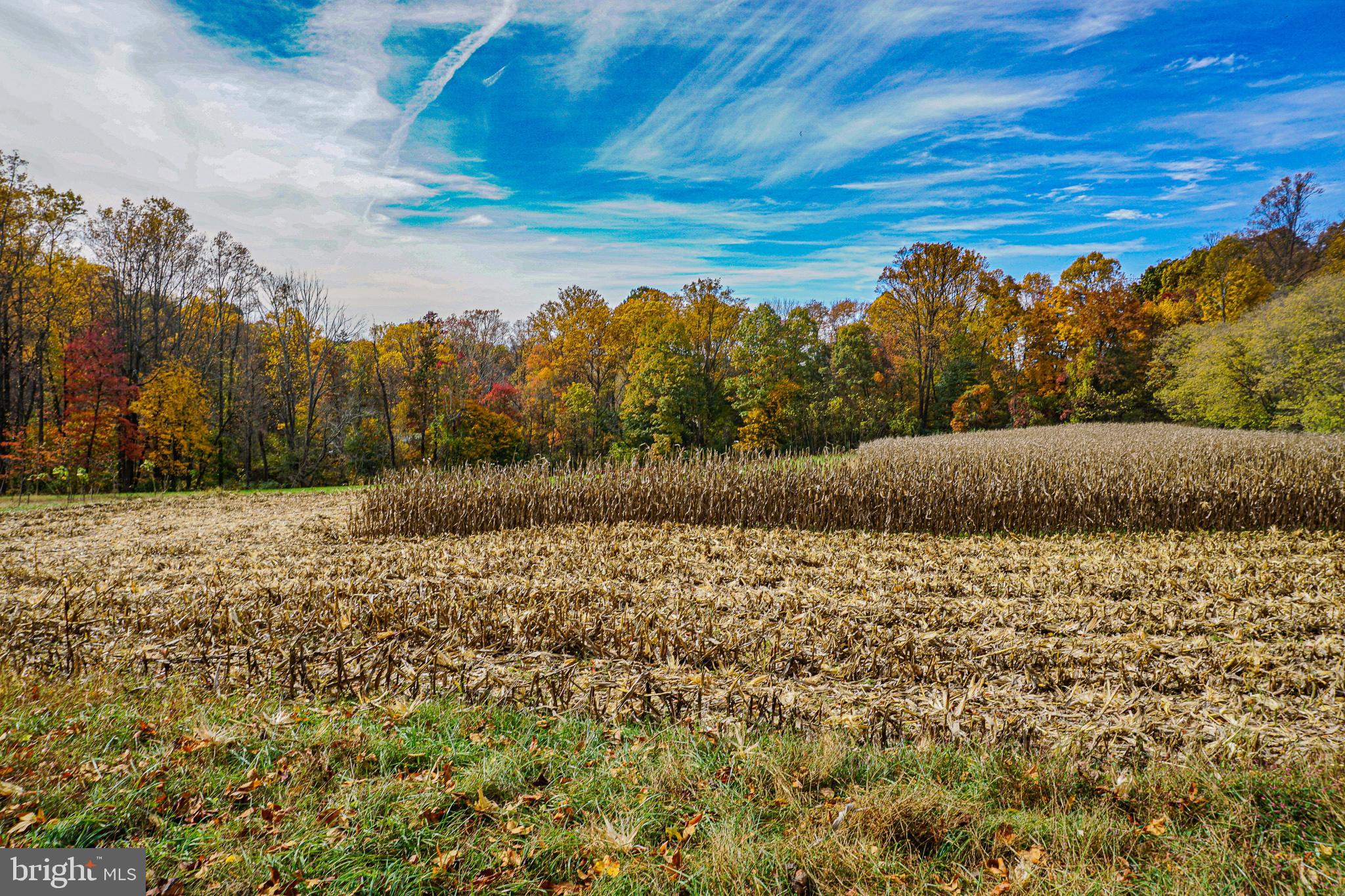 SHREWSBURY TWP - Farm