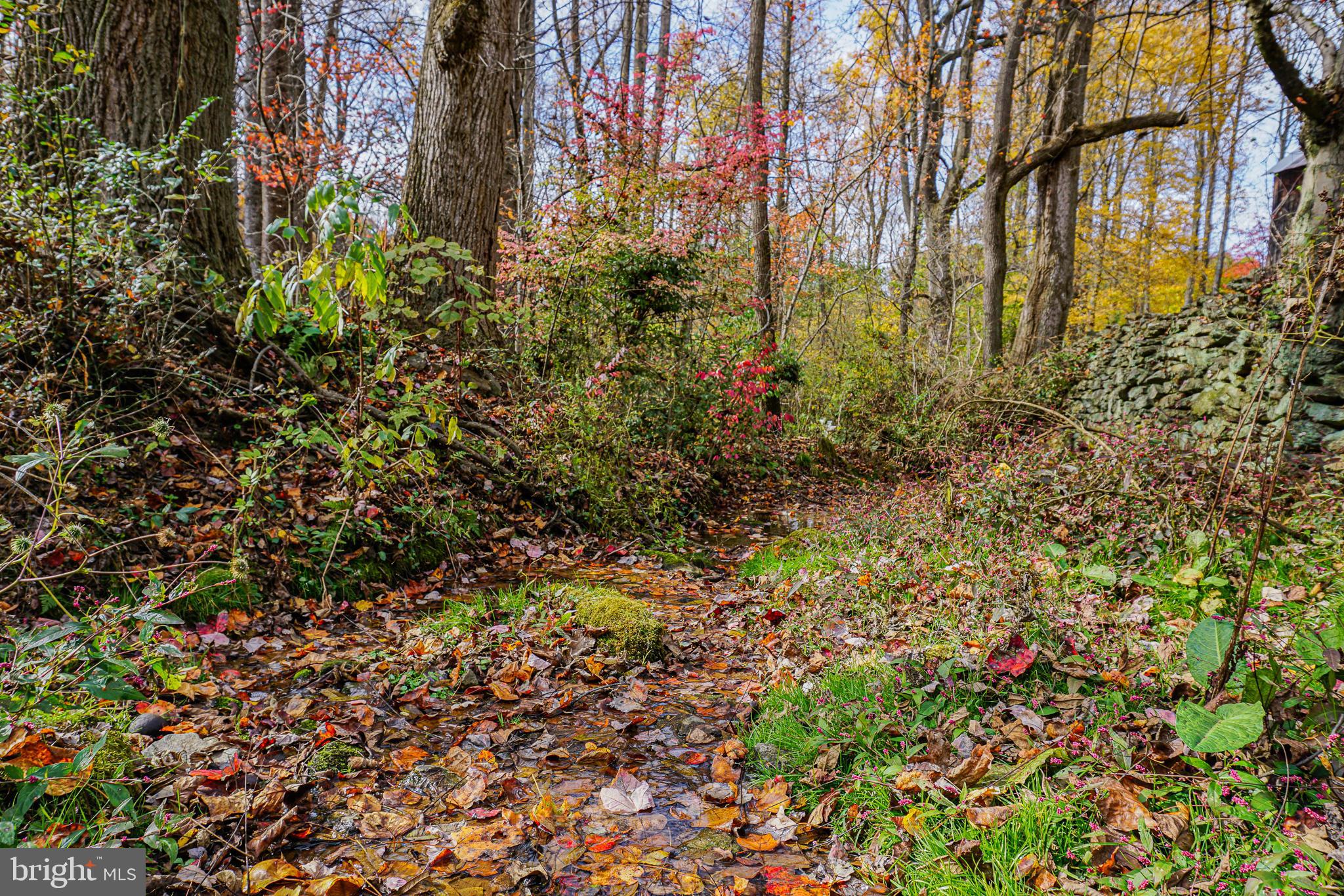 SHREWSBURY TWP - Farm