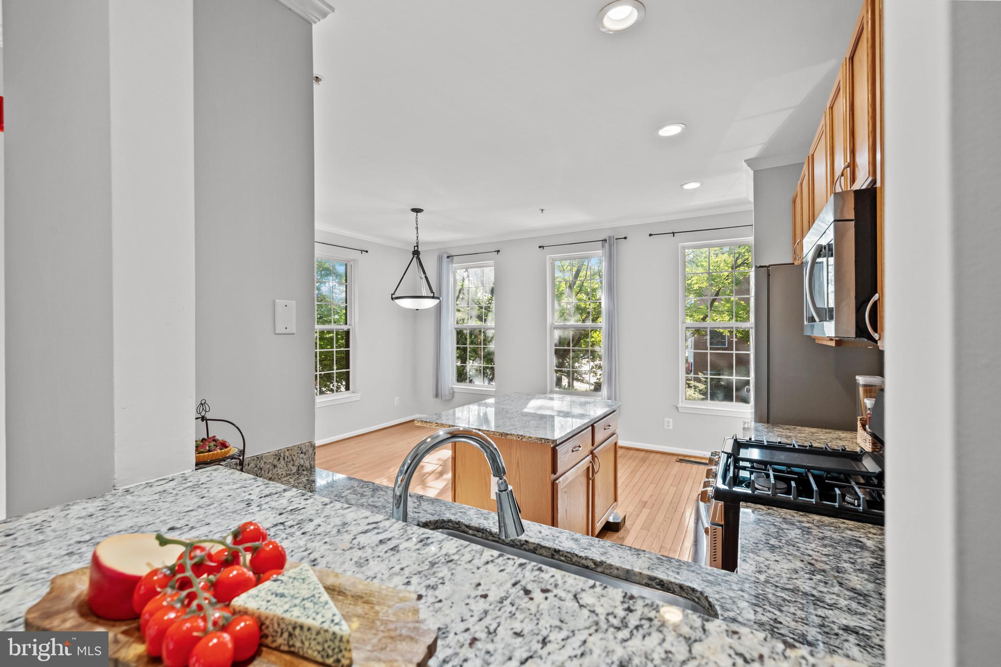CAMERON STATION - Residential