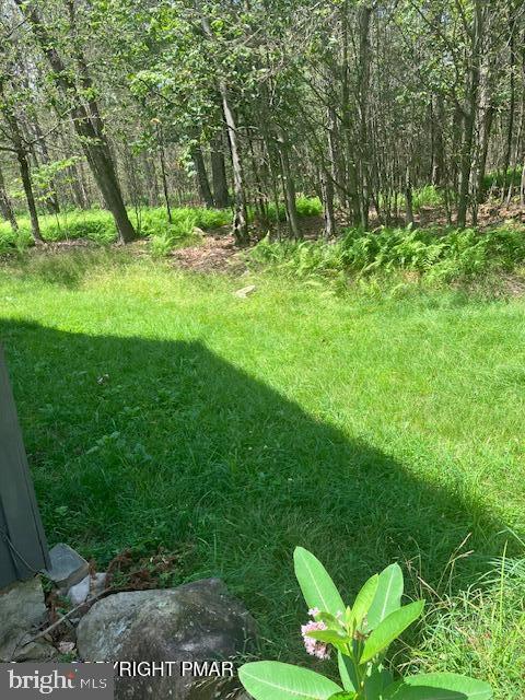 POCONO COUNTRY PLACE - Residential
