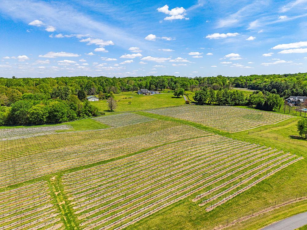 NONE AVAILABLE - Farm
