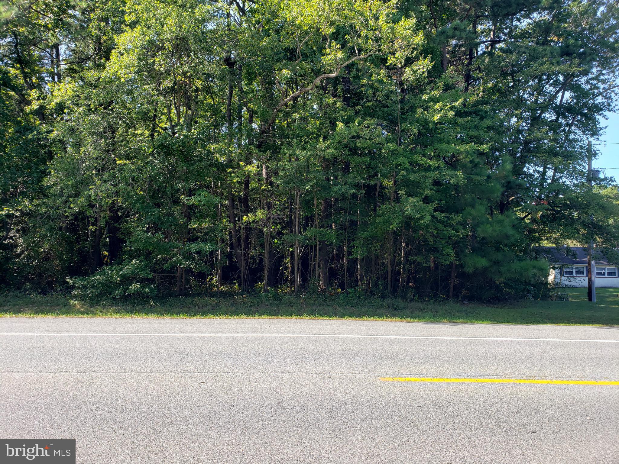 Nearly four (4) acres on Three Notch Road in Dameron, MD.  Located approximately one quarter mile north of Trapp Road.  Perc approved.  Sign on property.