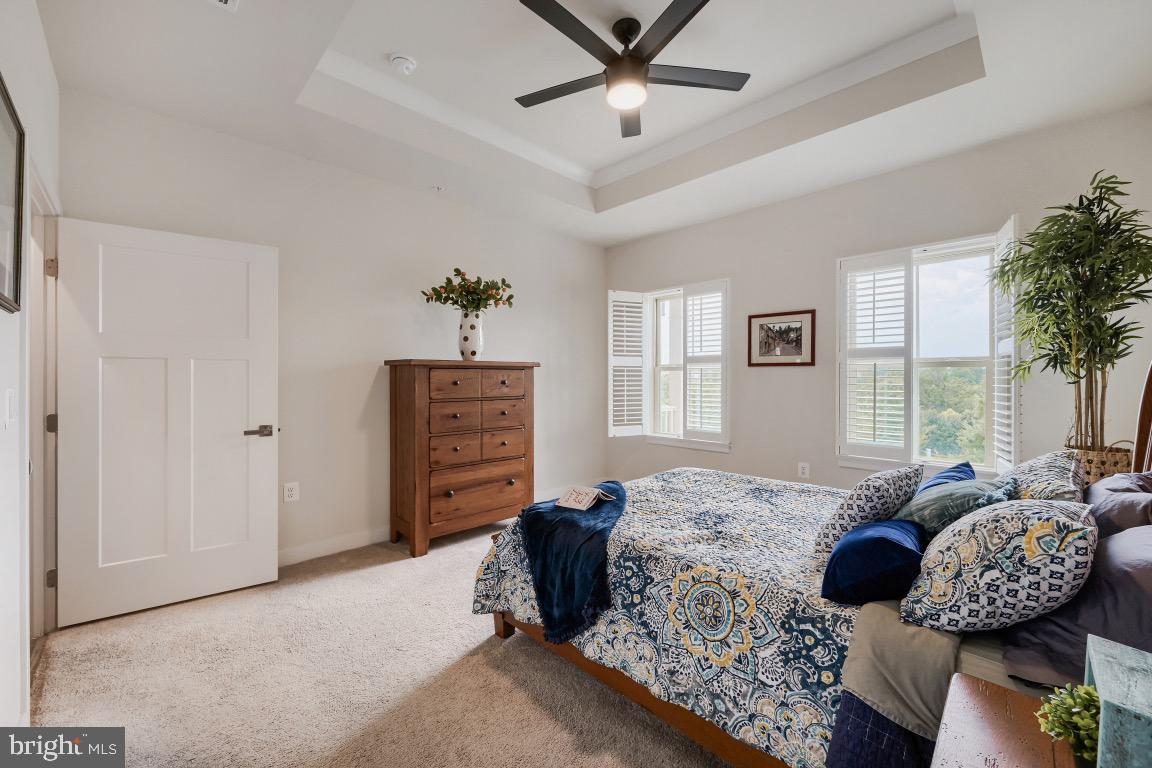THE WOODLANDS - Residential