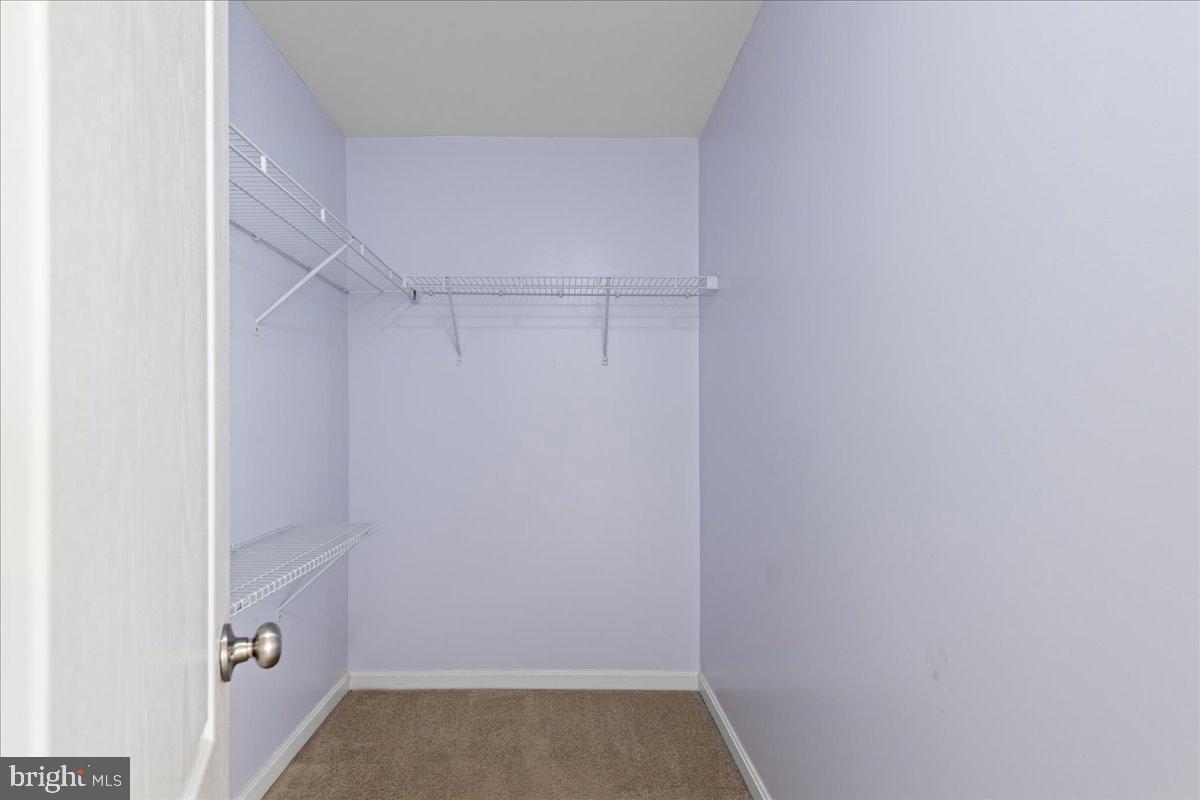 COLLEGIATE ACRES - Residential