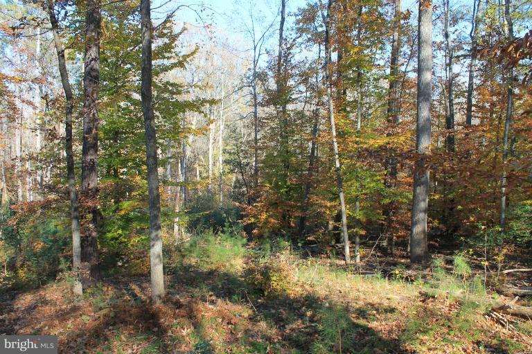 PARCEL OF LONG PROPERTY - Land