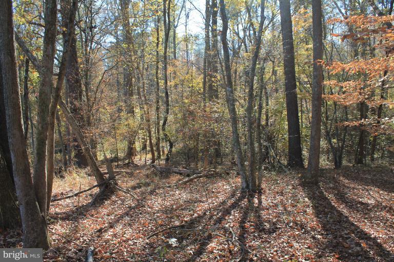 PARCEL OF LONG PROPERTY - Land