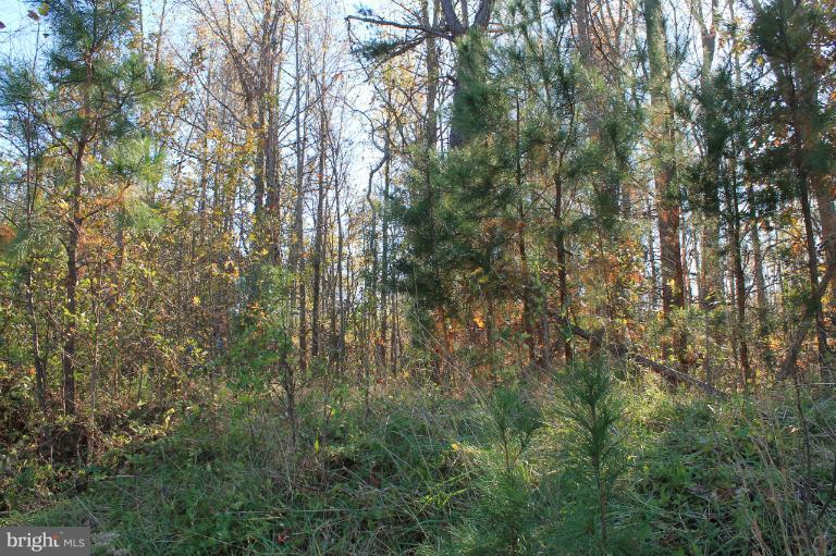 PARCEL OF LONG PROPERTY - Land