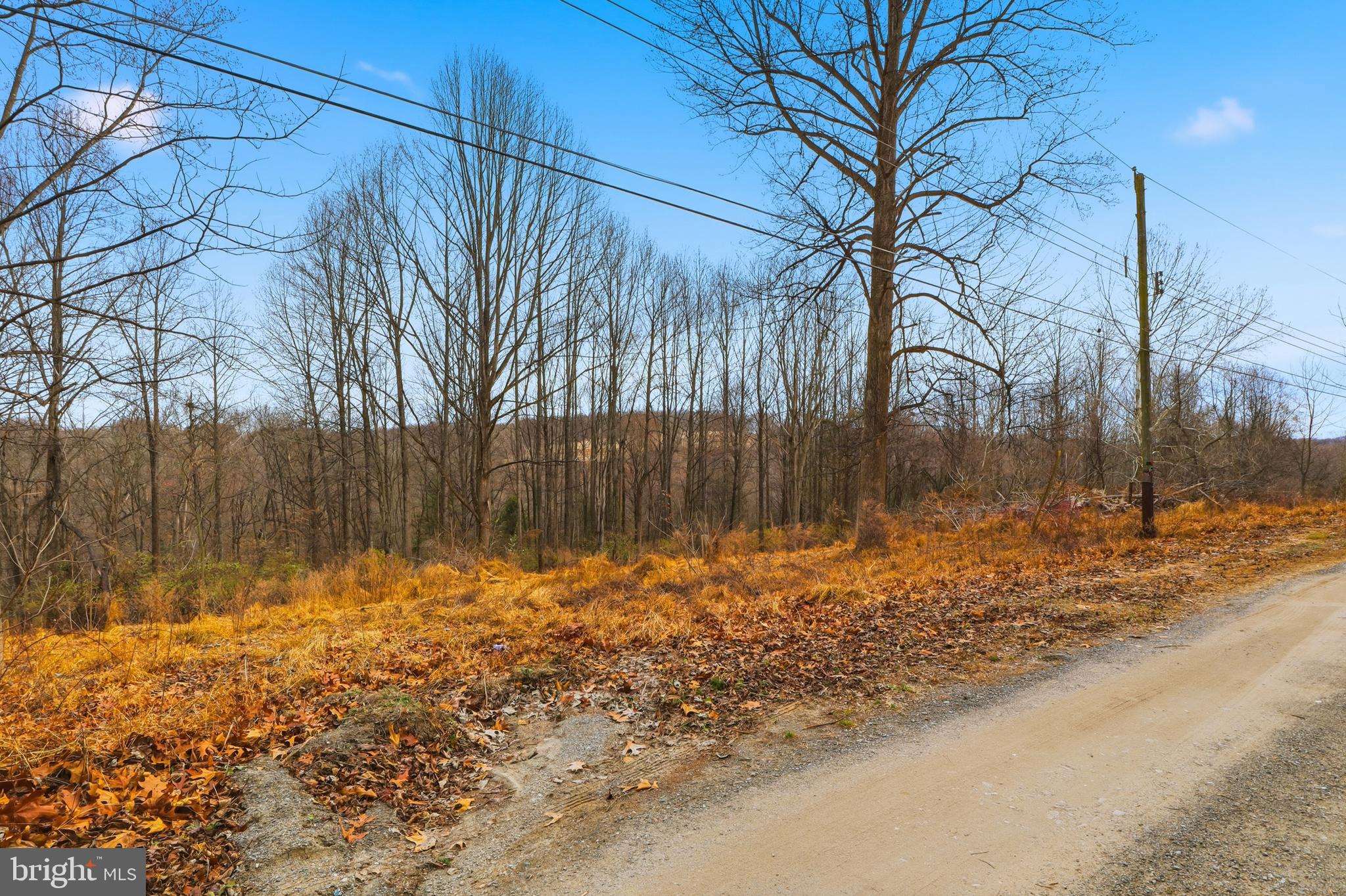 Beautiful 1.32± Acre Home Site – Mostly Cleared & Backing to Trees!
This spacious and private building lot is ready for its new owner. Enjoy a peaceful setting surrounded by nature, all while being just minutes from the Mason-Dixon Line. Previously perc-approved for a standard septic system, this property offers a great opportunity to bring your home plans and build the dream home you’ve been envisioning. Don’t miss your chance to own this ideal homesite in a desirable location!
