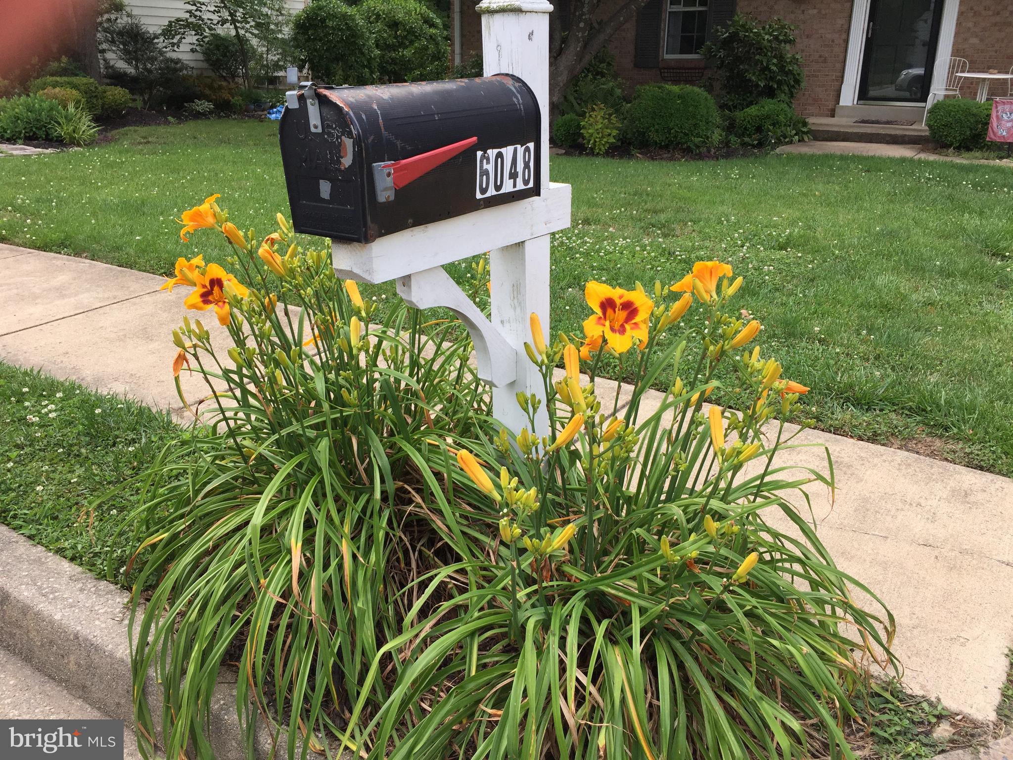 WILTON FOREST - Residential Lease