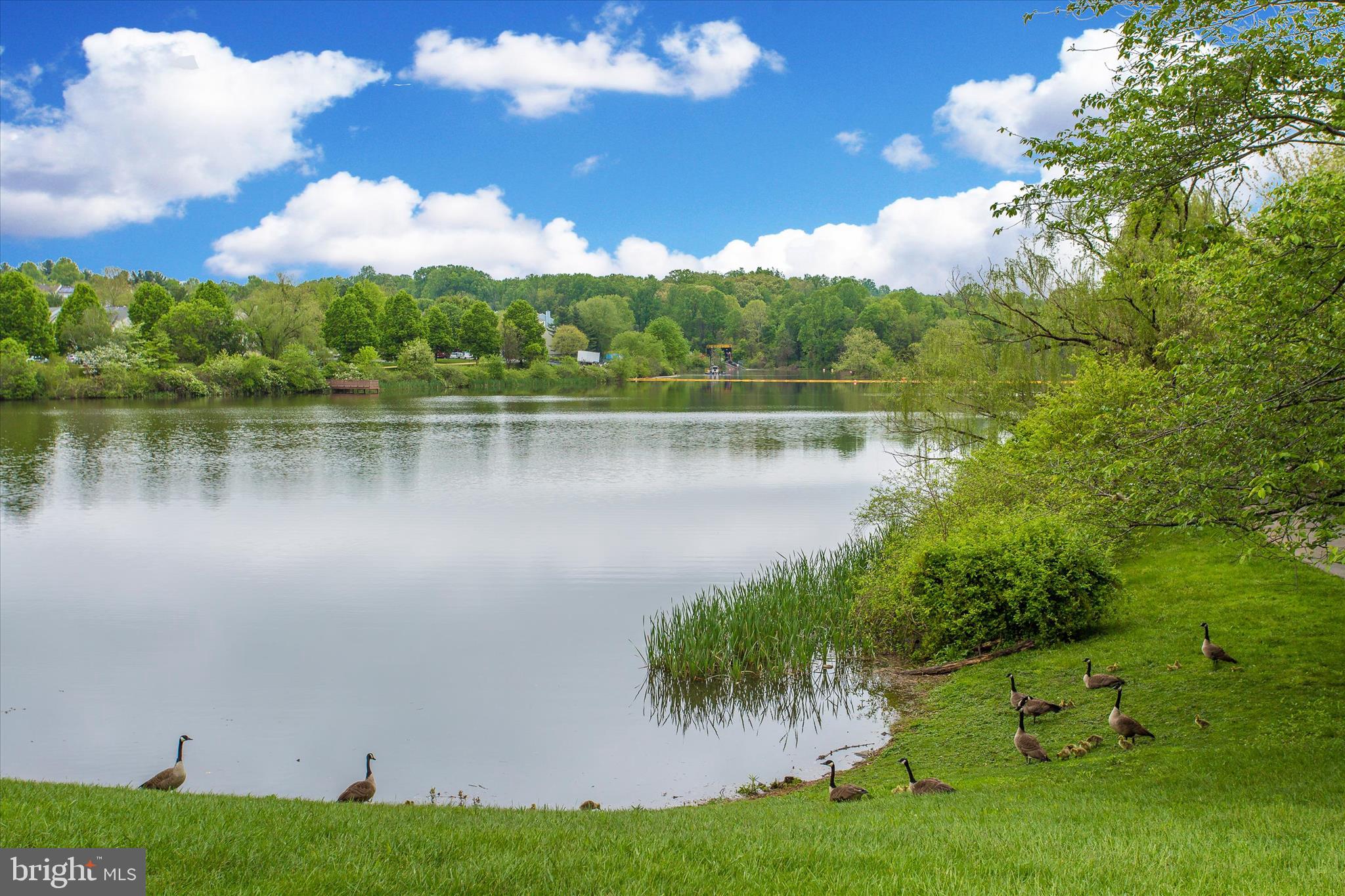 GUNNERS LAKE VILLAGE - Residential