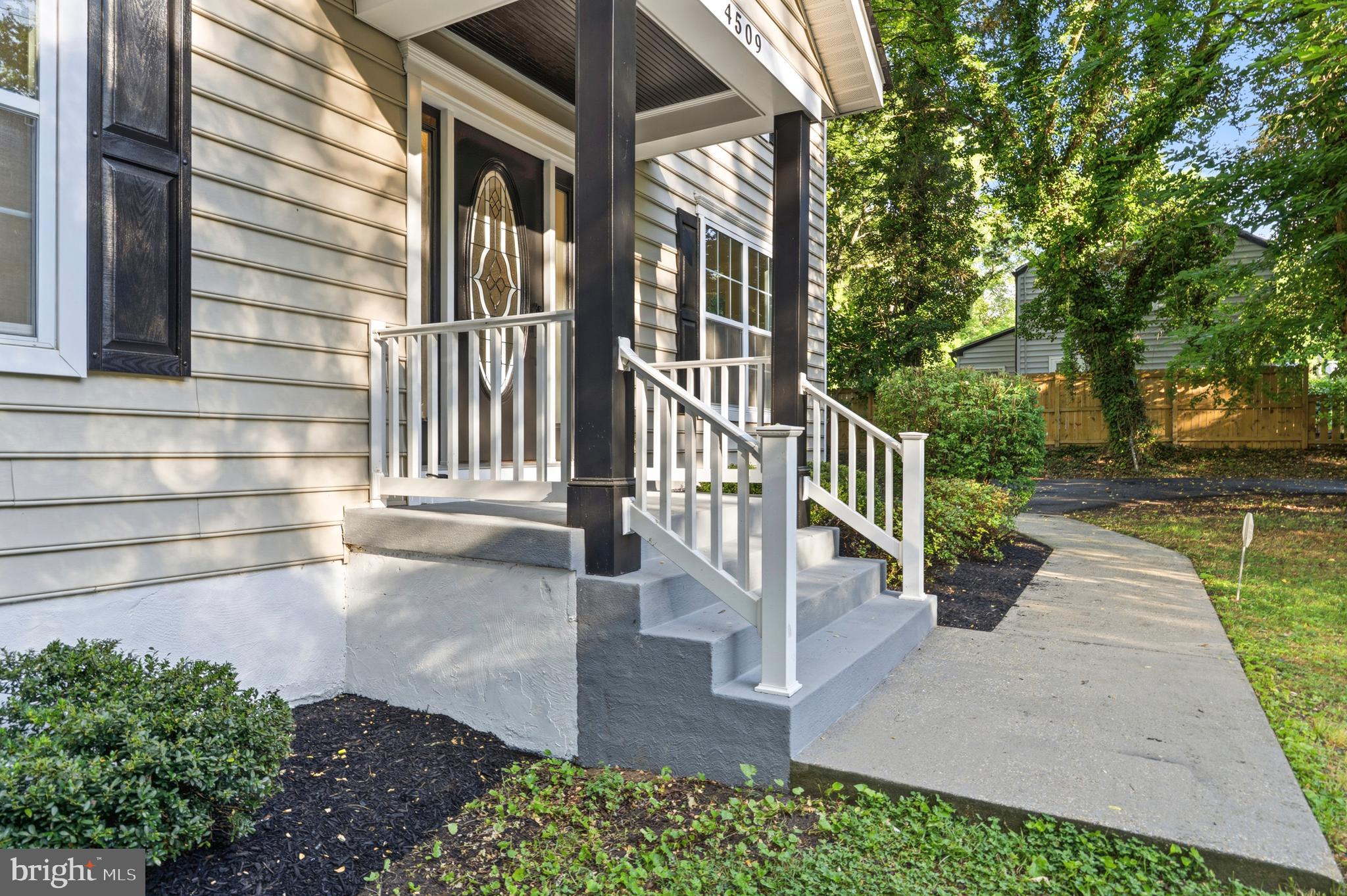 MT RAINIER - Residential