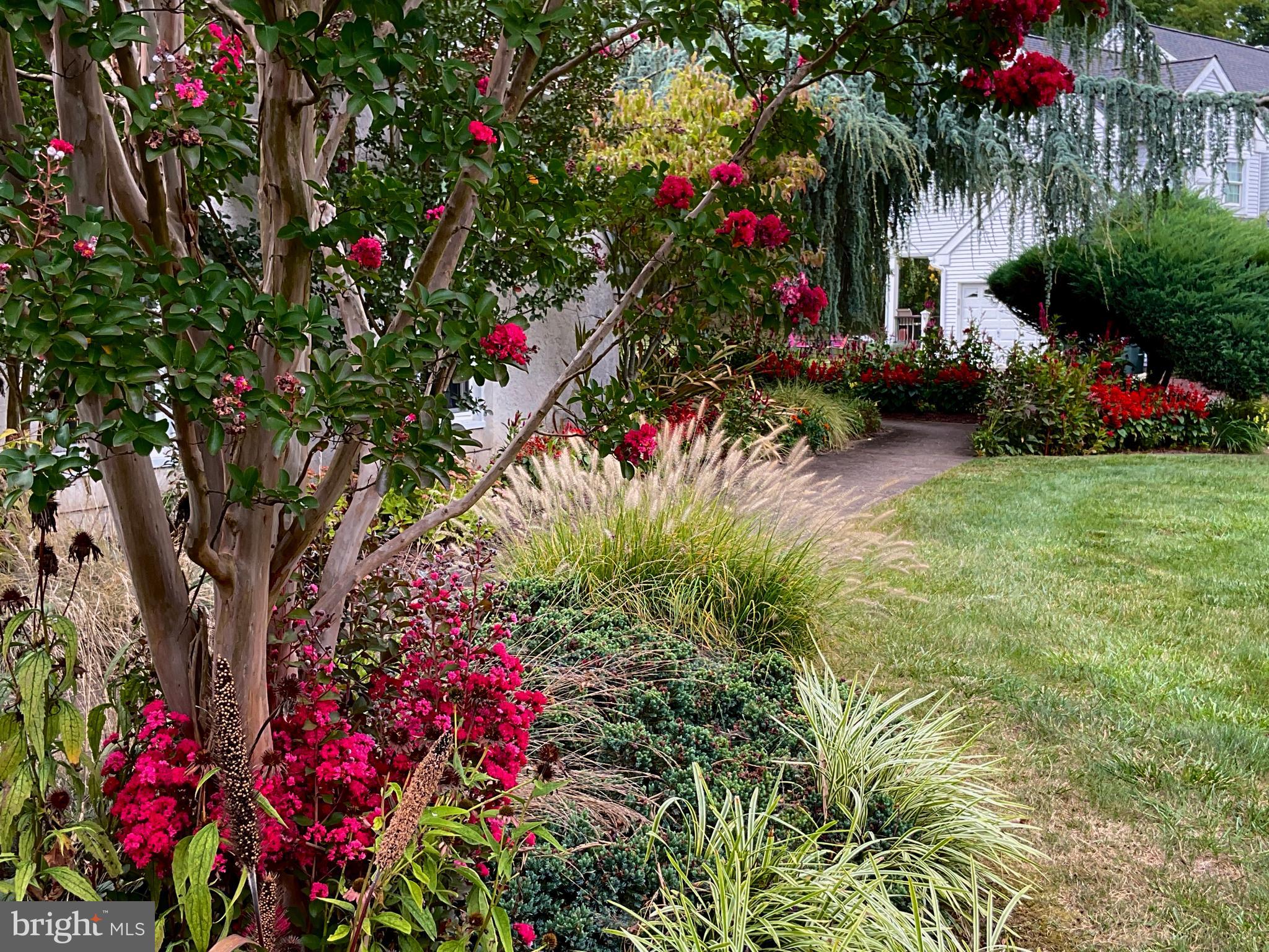 WINDROSE - Residential
