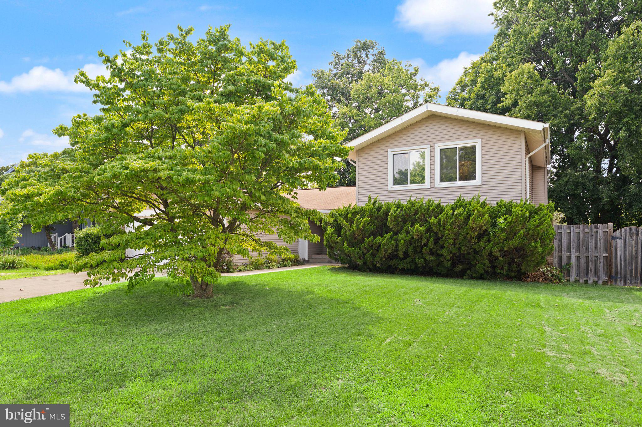 OAK TREE - Residential