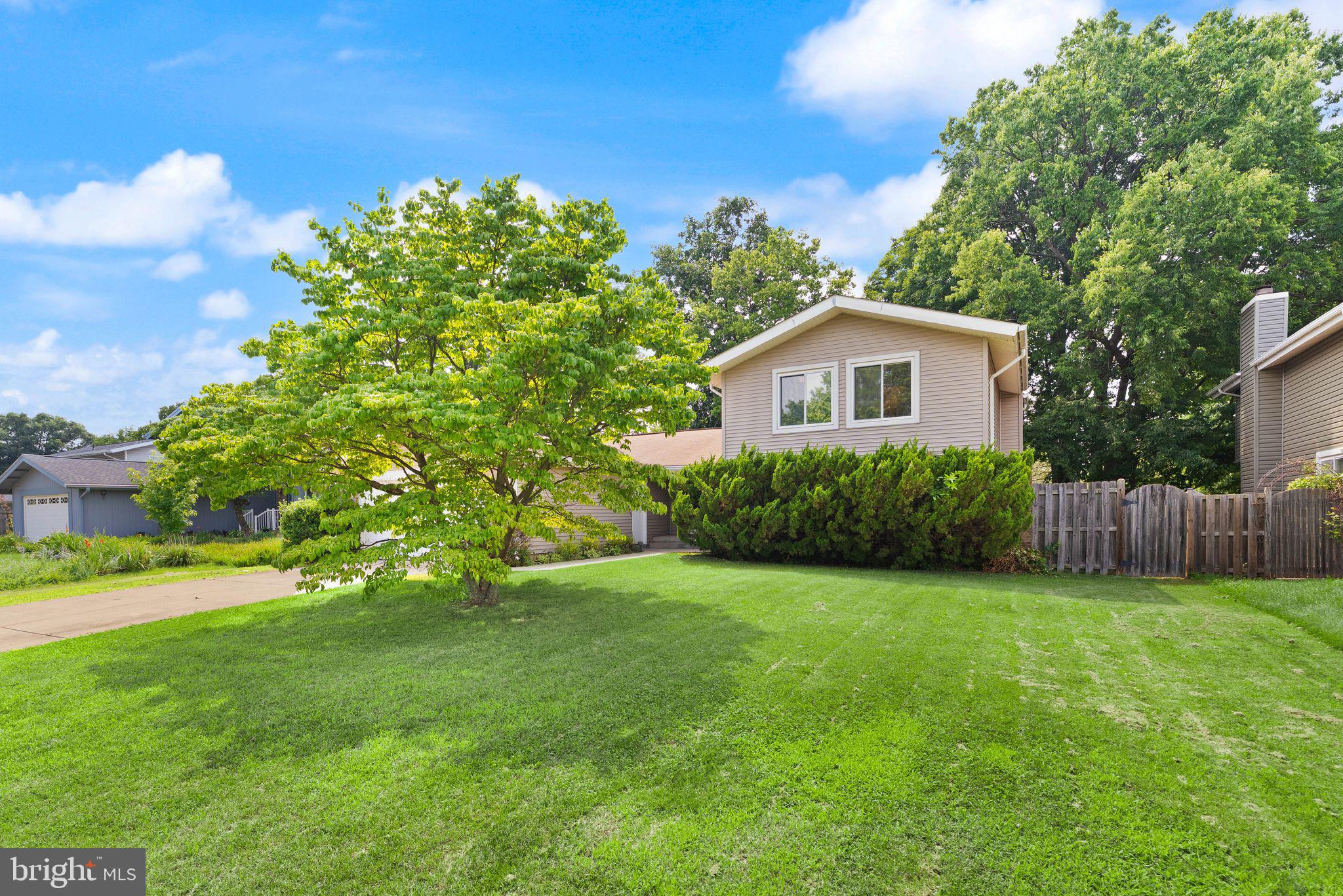 OAK TREE - Residential