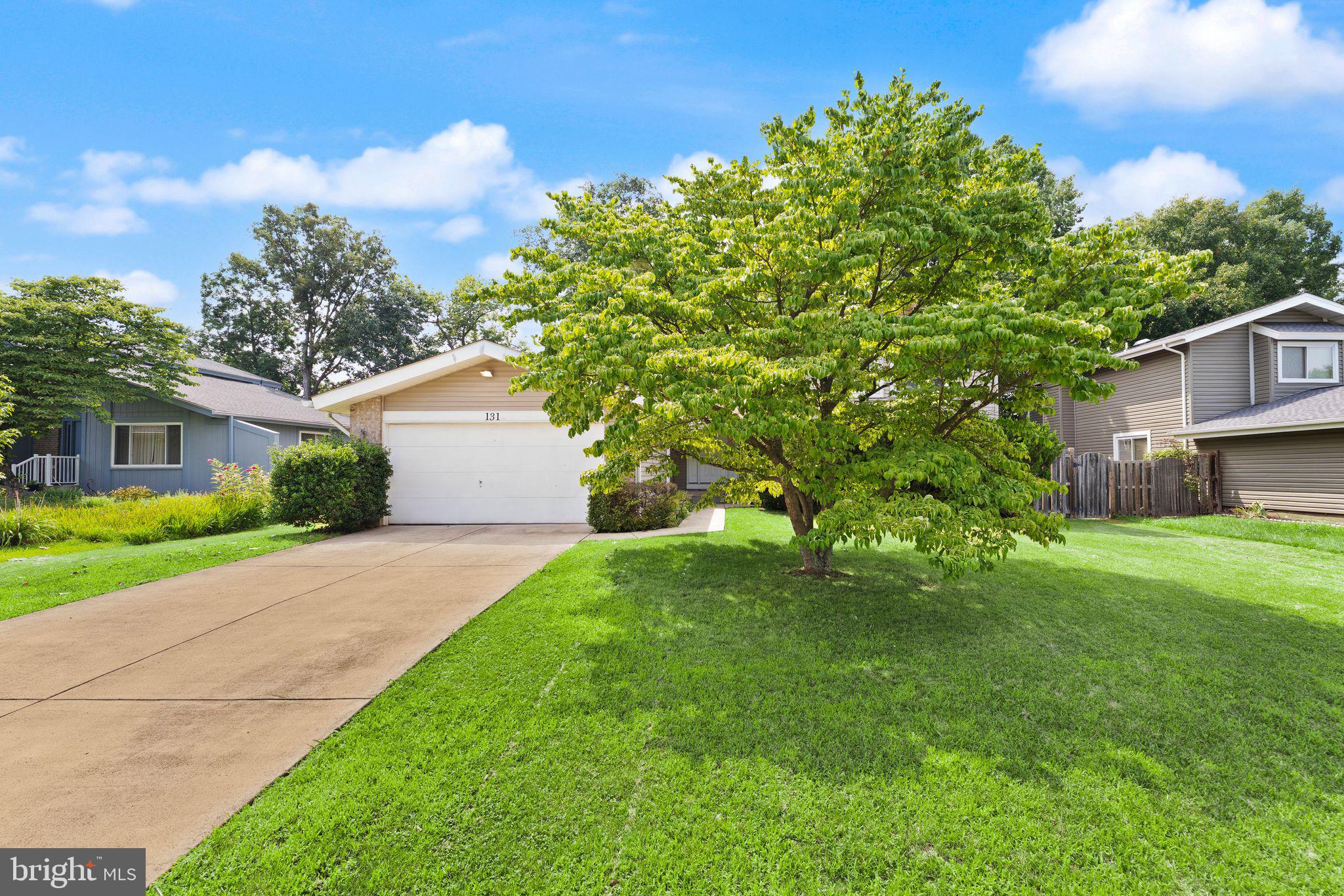 OAK TREE - Residential