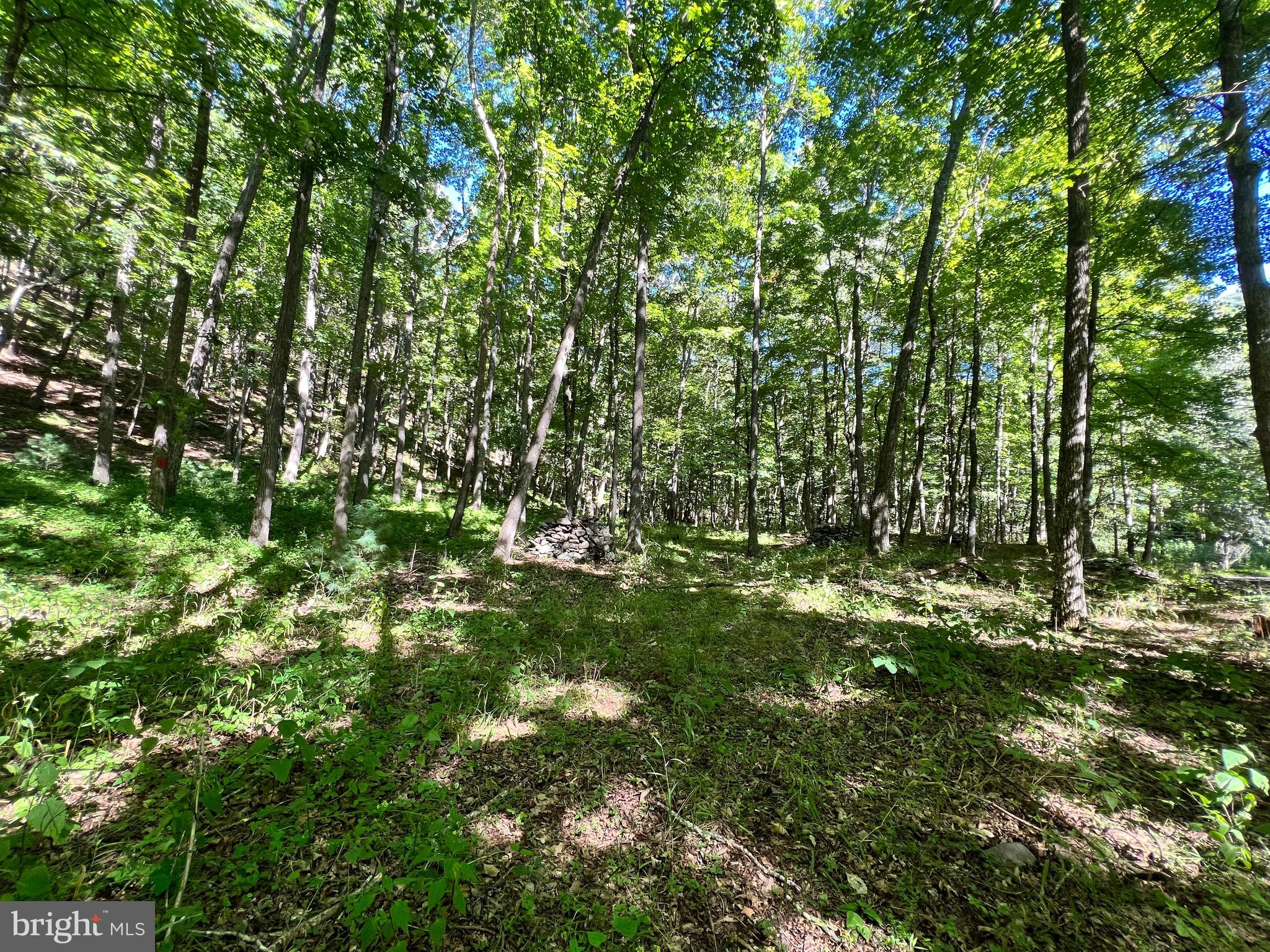 HIGH KNOB/OLD FIELDS OWNERS ASSOC. - Land