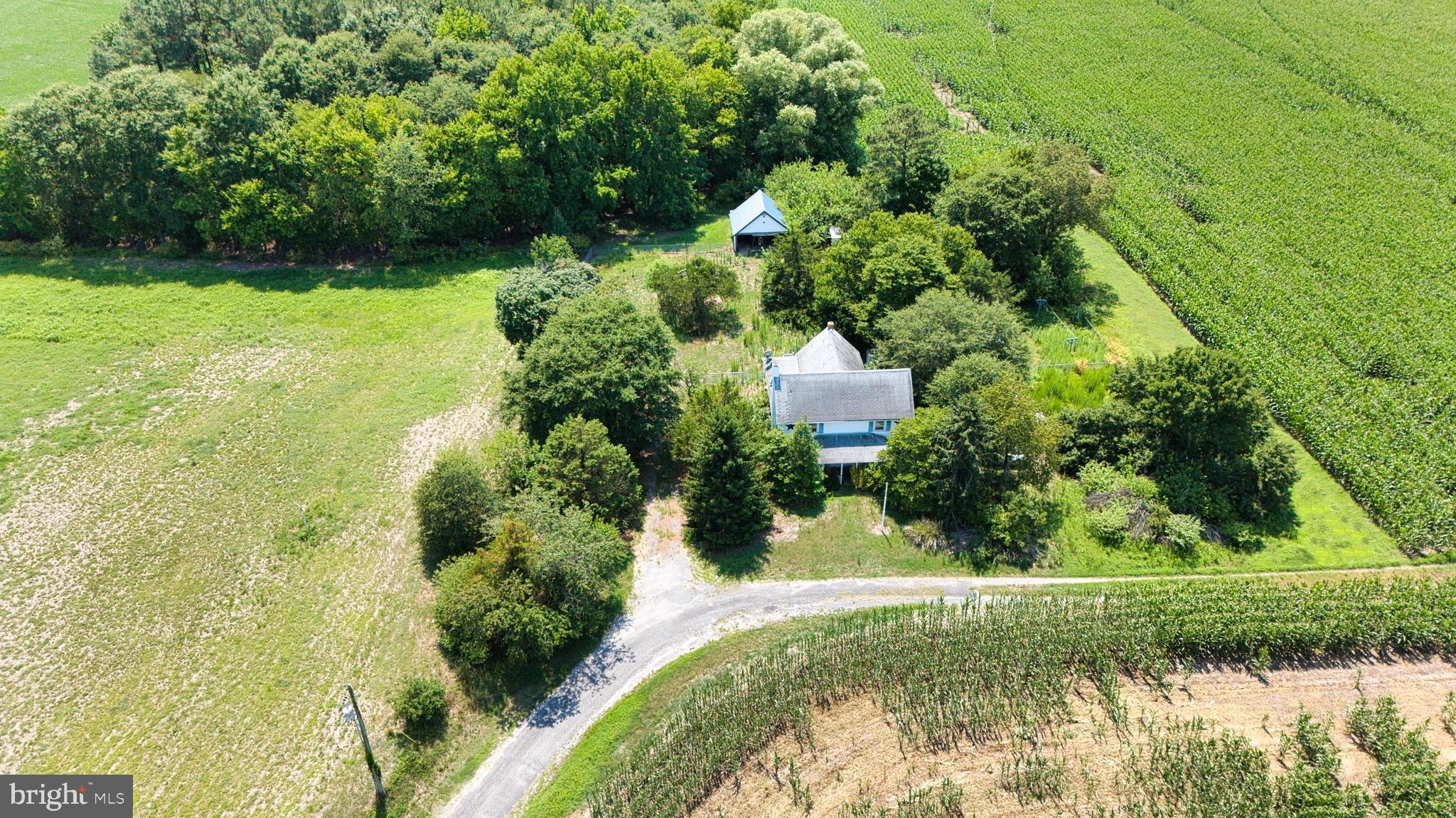 This historical canvas is awaiting your creative vision. Tucked away in a tranquil, tree-lined pocket of Delmar on a sprawling acreage lot, this classic two-story country home offers the ultimate sweat-equity opportunity. Framed by mature trees and picturesque, sweeping agricultural views, the property offers unmatched privacy and peaceful rural living.

Enjoy the massive financial benefits of tax-free Delaware living with famously low property taxes, all while staying incredibly connected. You are just minutes from the bustling hub of Salisbury for shopping, dining, and major medical/educational centers, close to the scenic trails and waters of Trap Pond State Park, and an easy drive to pristine Delaware and Maryland beaches. Whether you are looking to flip, build a high-yield rental, or design your own custom country escape, the equity potential here is limitless. Bring your vision and your contractor — this property is sold as-is! SHOWING NOTE: To view the property one must complete the hold harmless agreement to enter the property. There is an INVESTORS OPEN FRIDAY 7/17 from 3PM to 5PM, get the first look!!