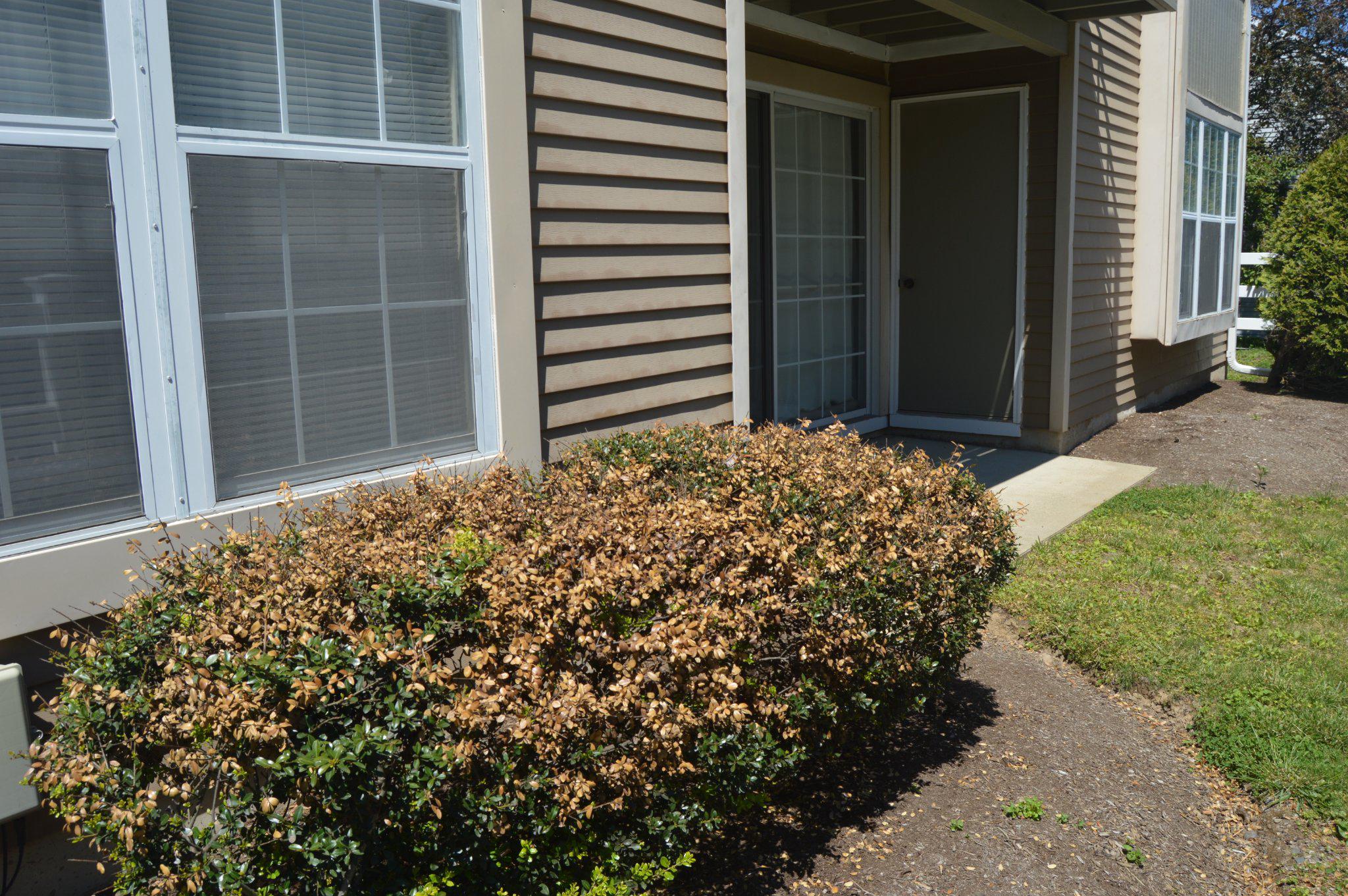 NEWTOWN GRANT - Residential