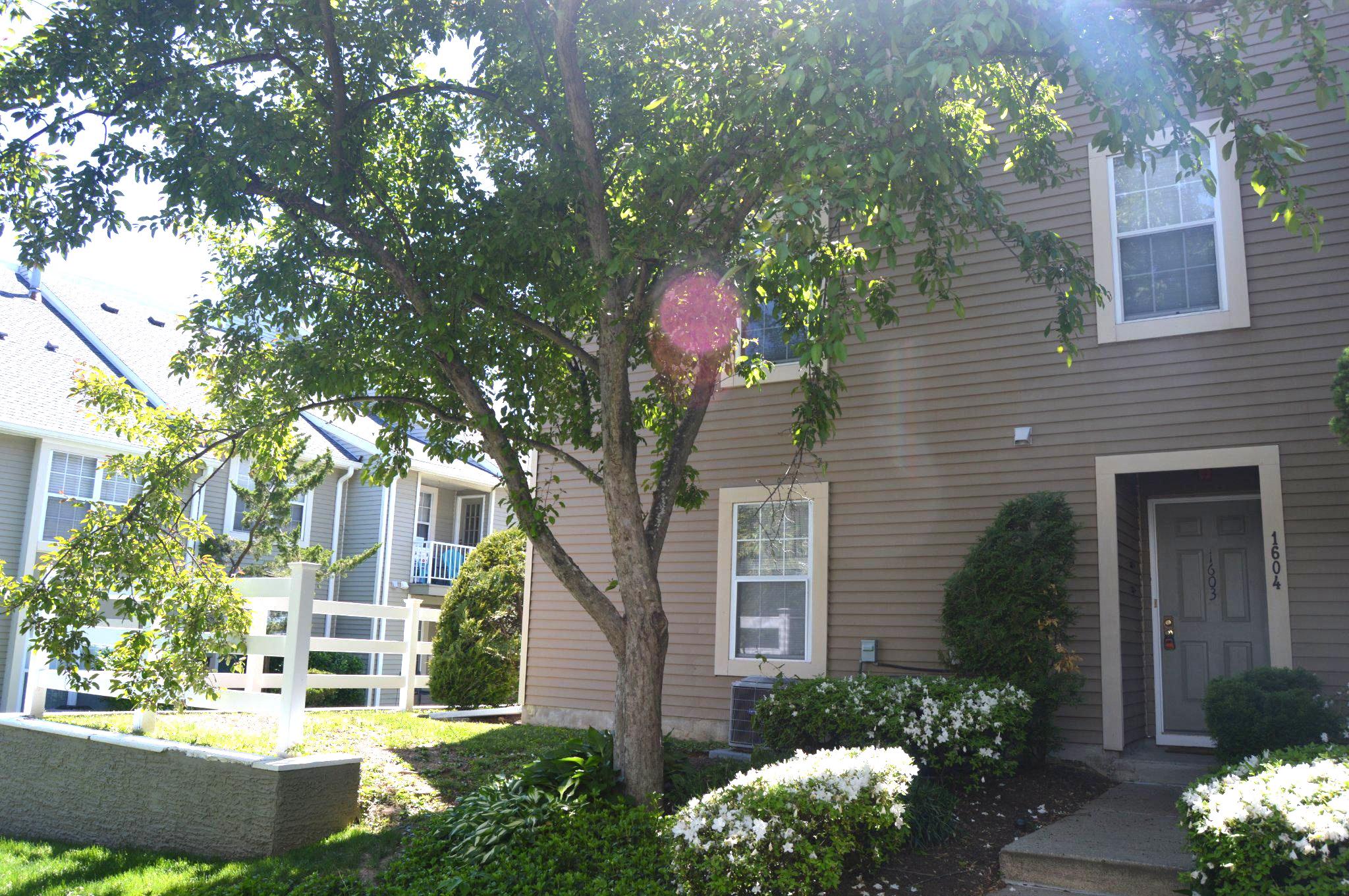 NEWTOWN GRANT - Residential