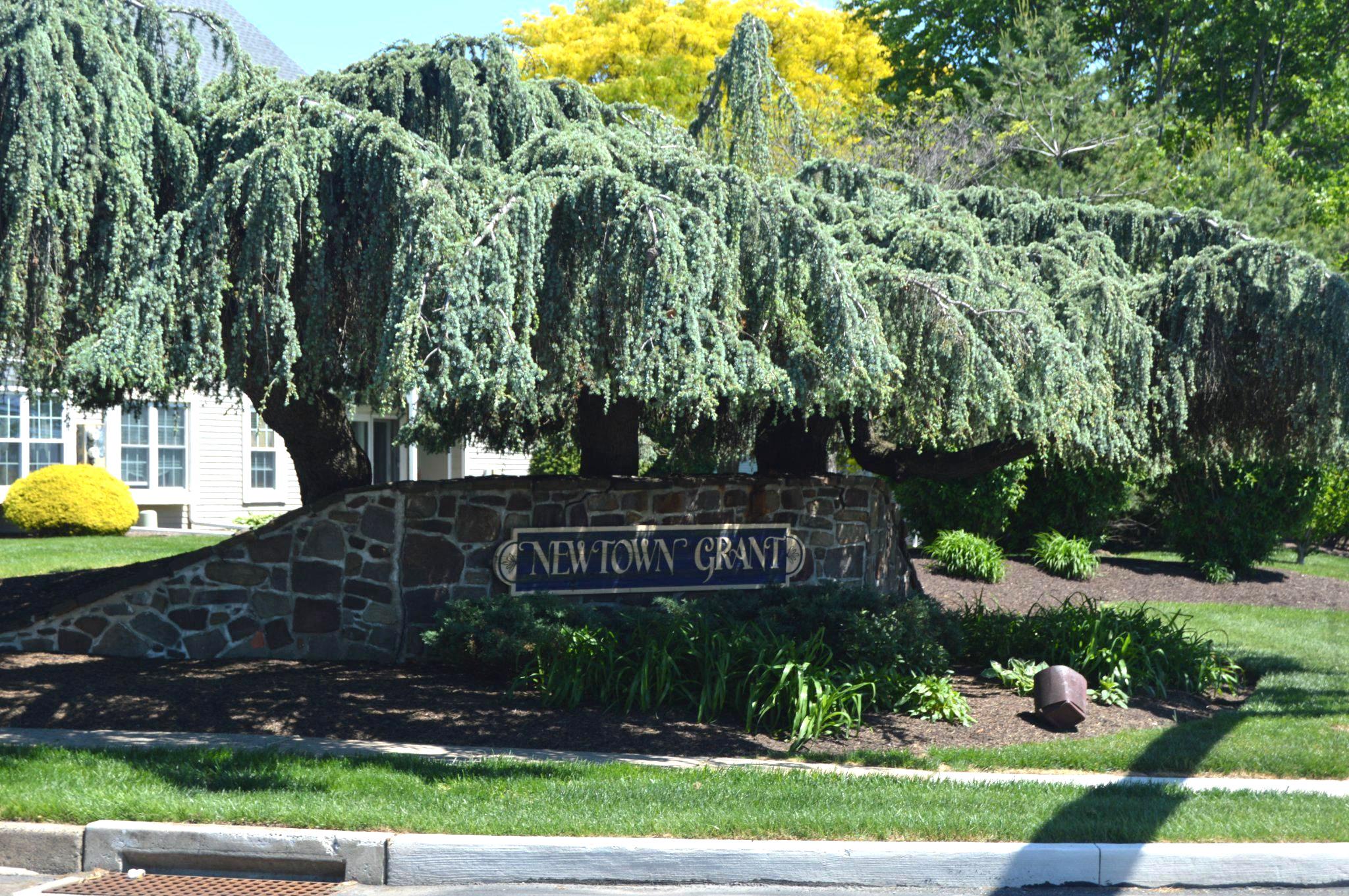 NEWTOWN GRANT - Residential