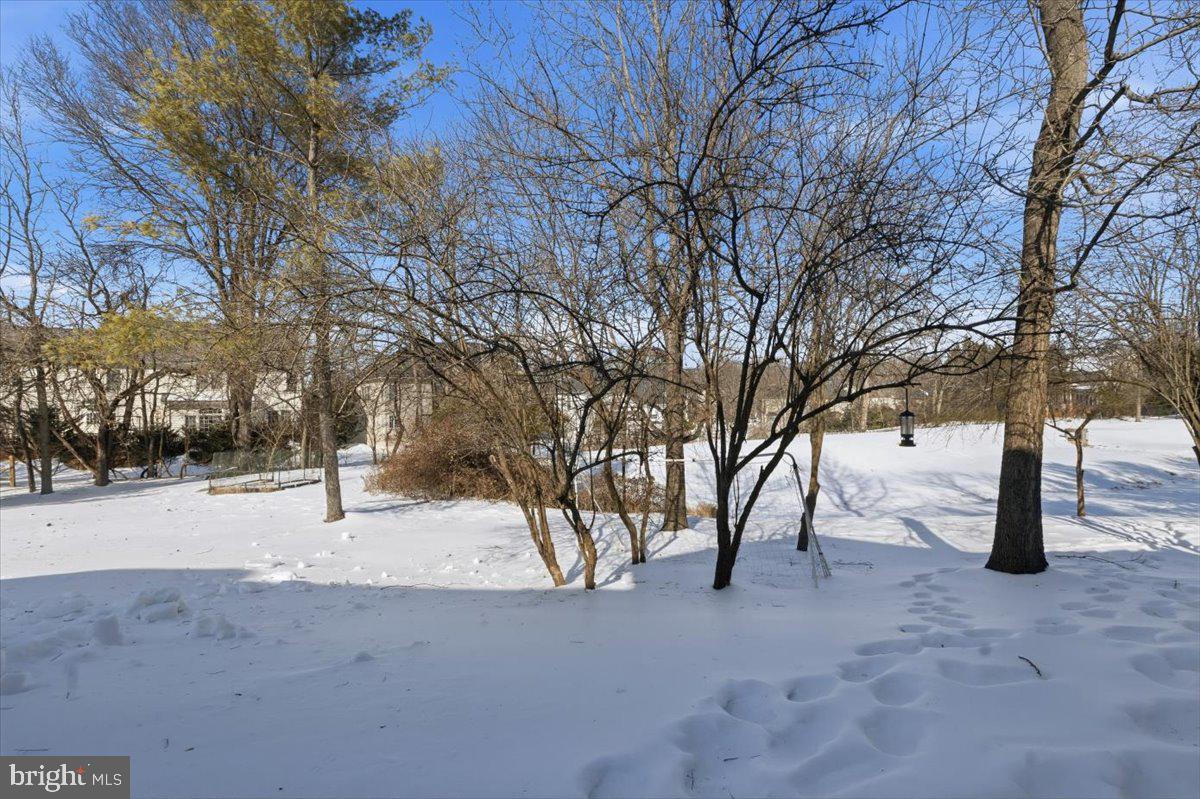 BIG PINES VILLAGE - Residential