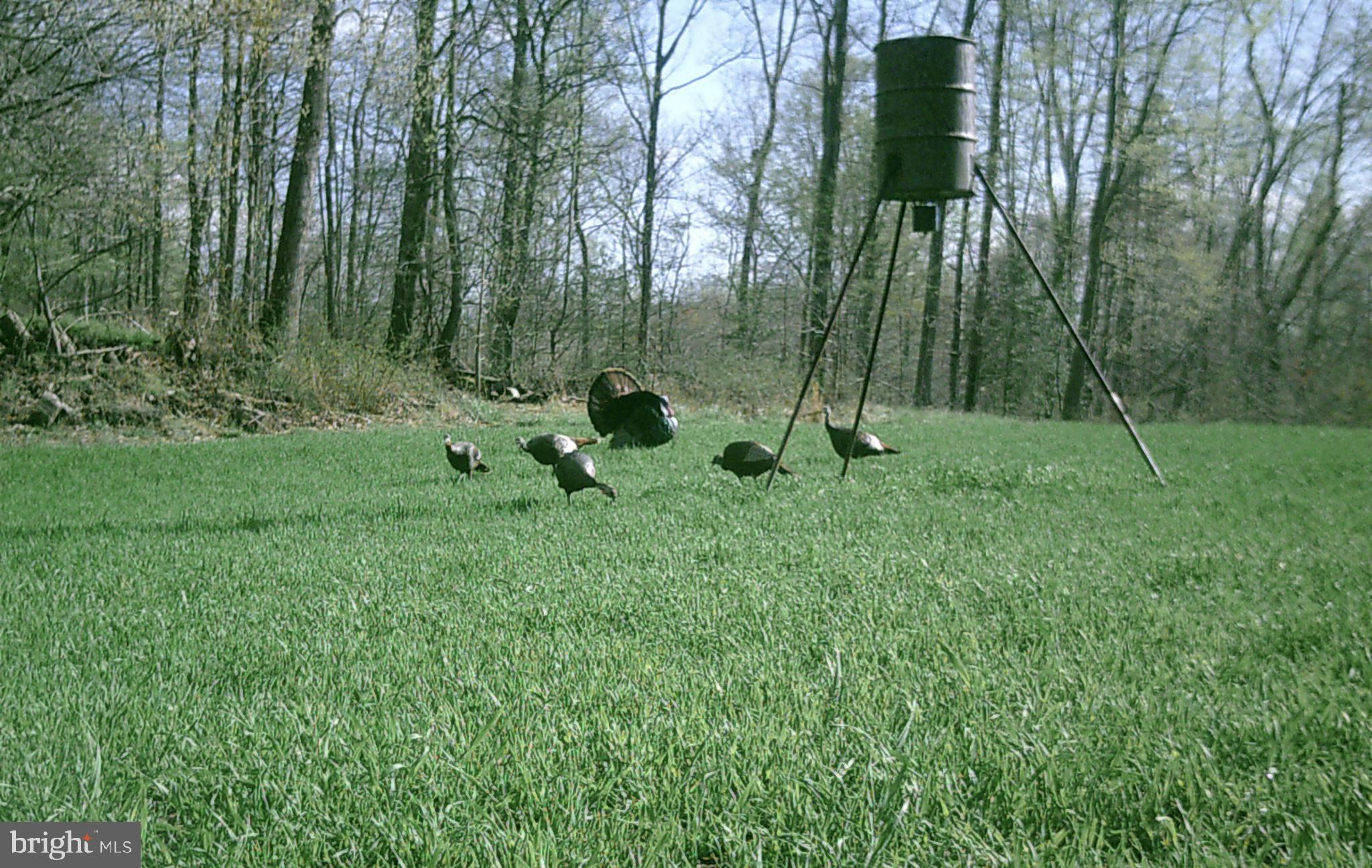 CANOE NECK CREEK - Residential
