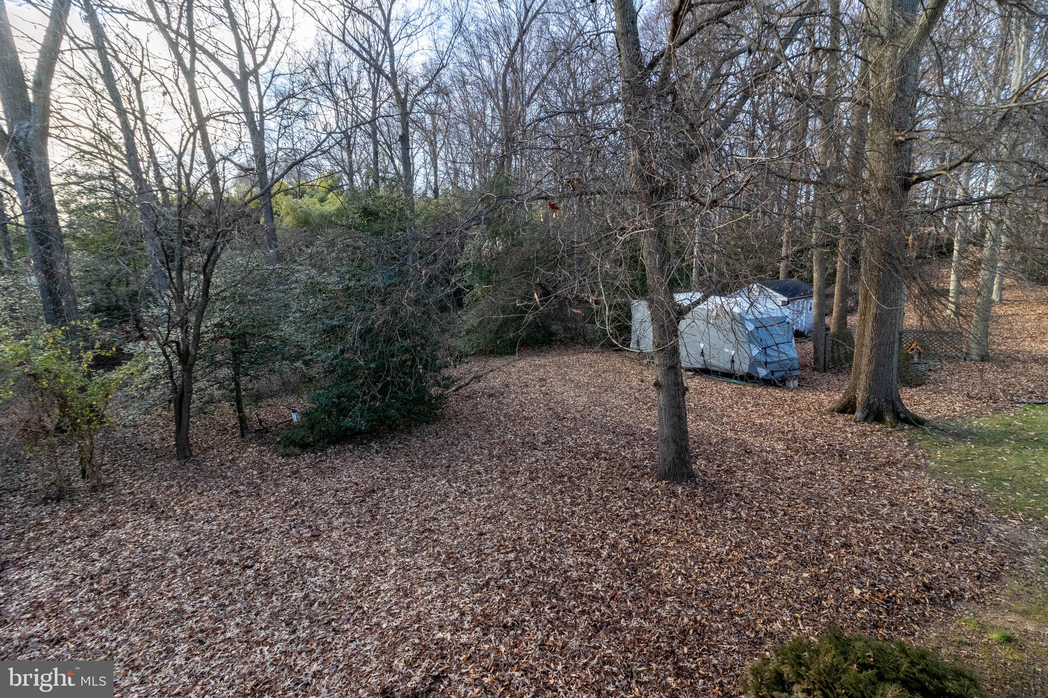 BELTSVILLE TERRACE - Residential