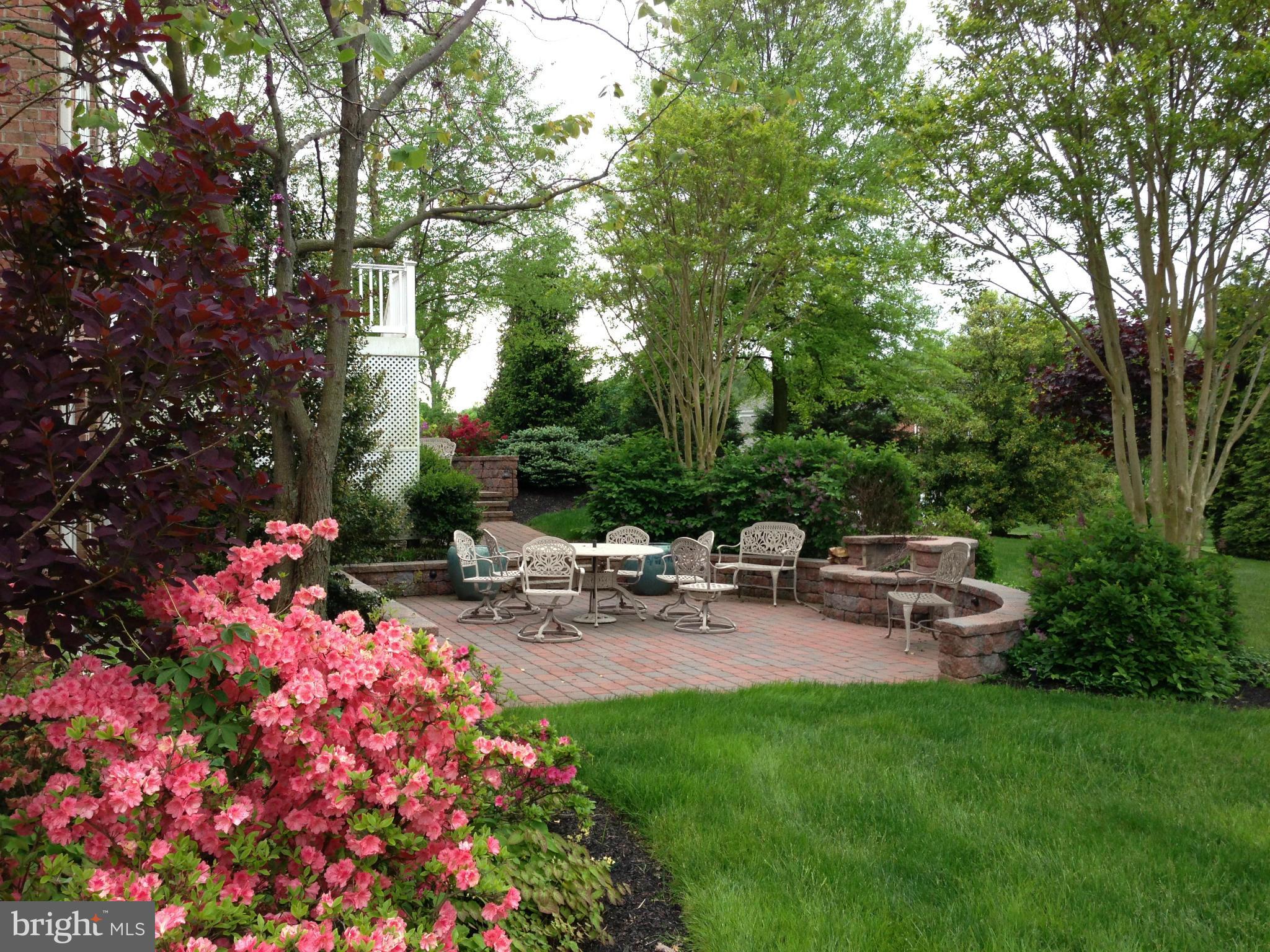 BELMONT FARM - Farm
