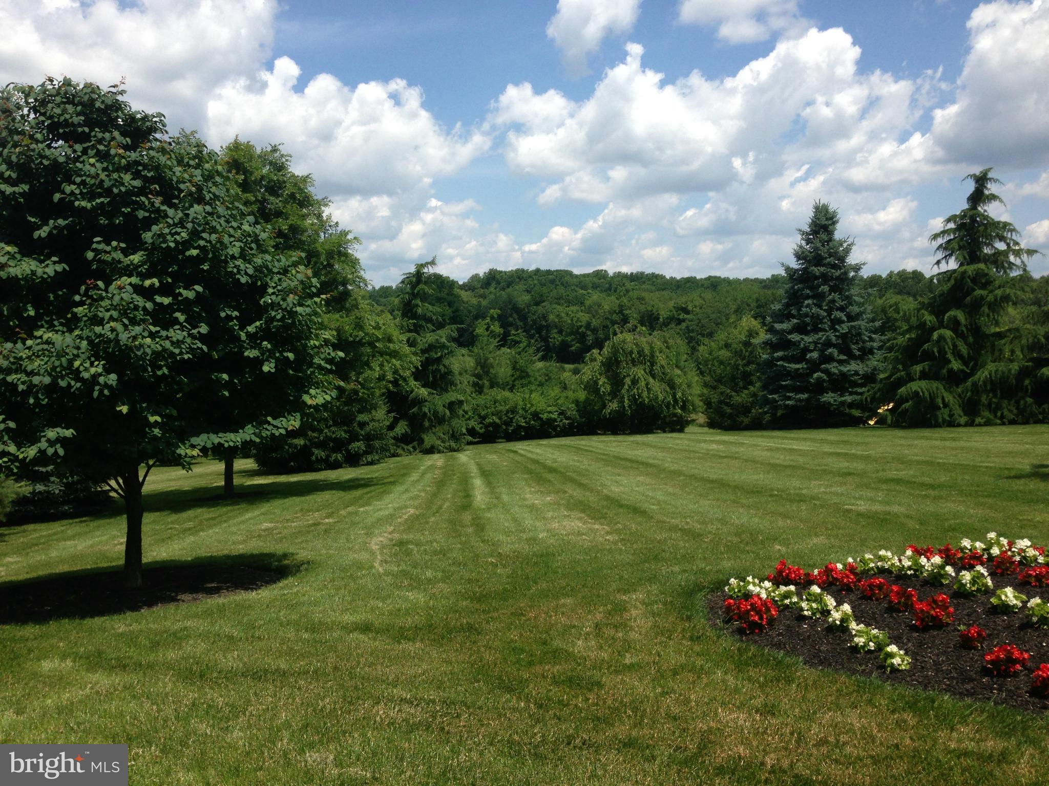 BELMONT FARM - Farm