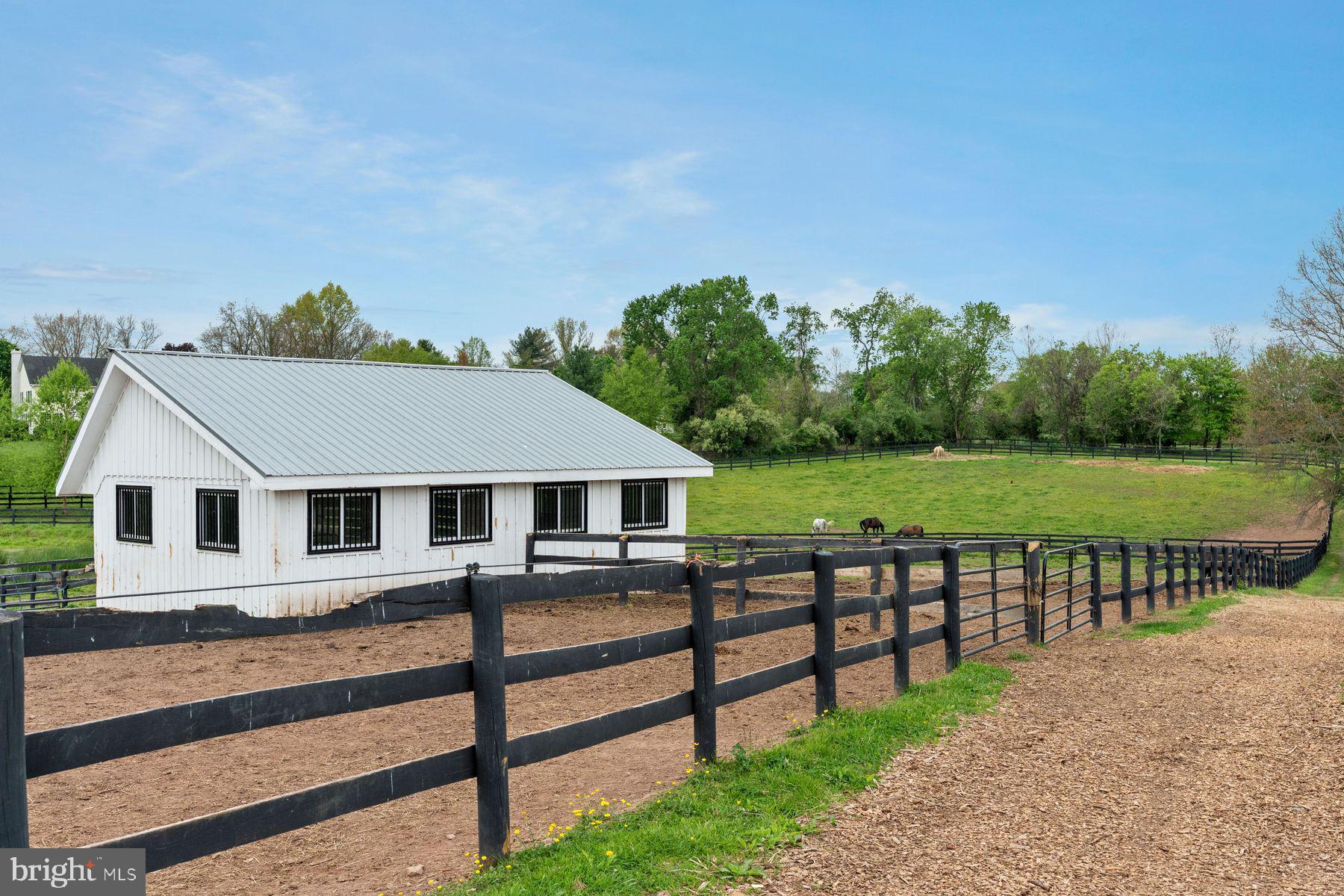 NONE AVAILABLE - Farm