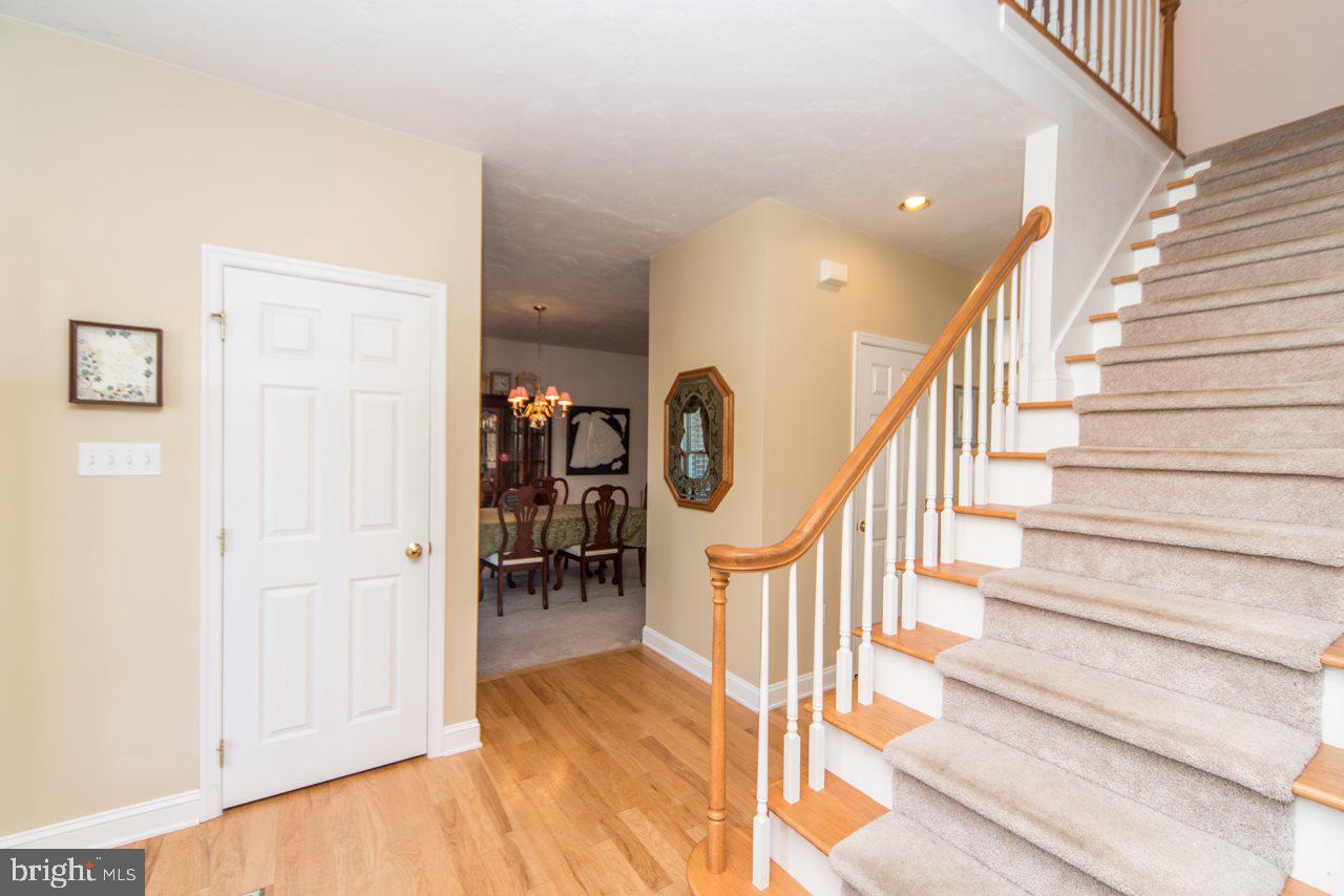 SPRING MEADOWS - Residential