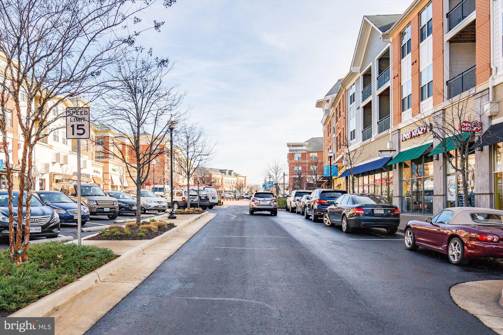 VILLAGE AT LEESBURG - Residential