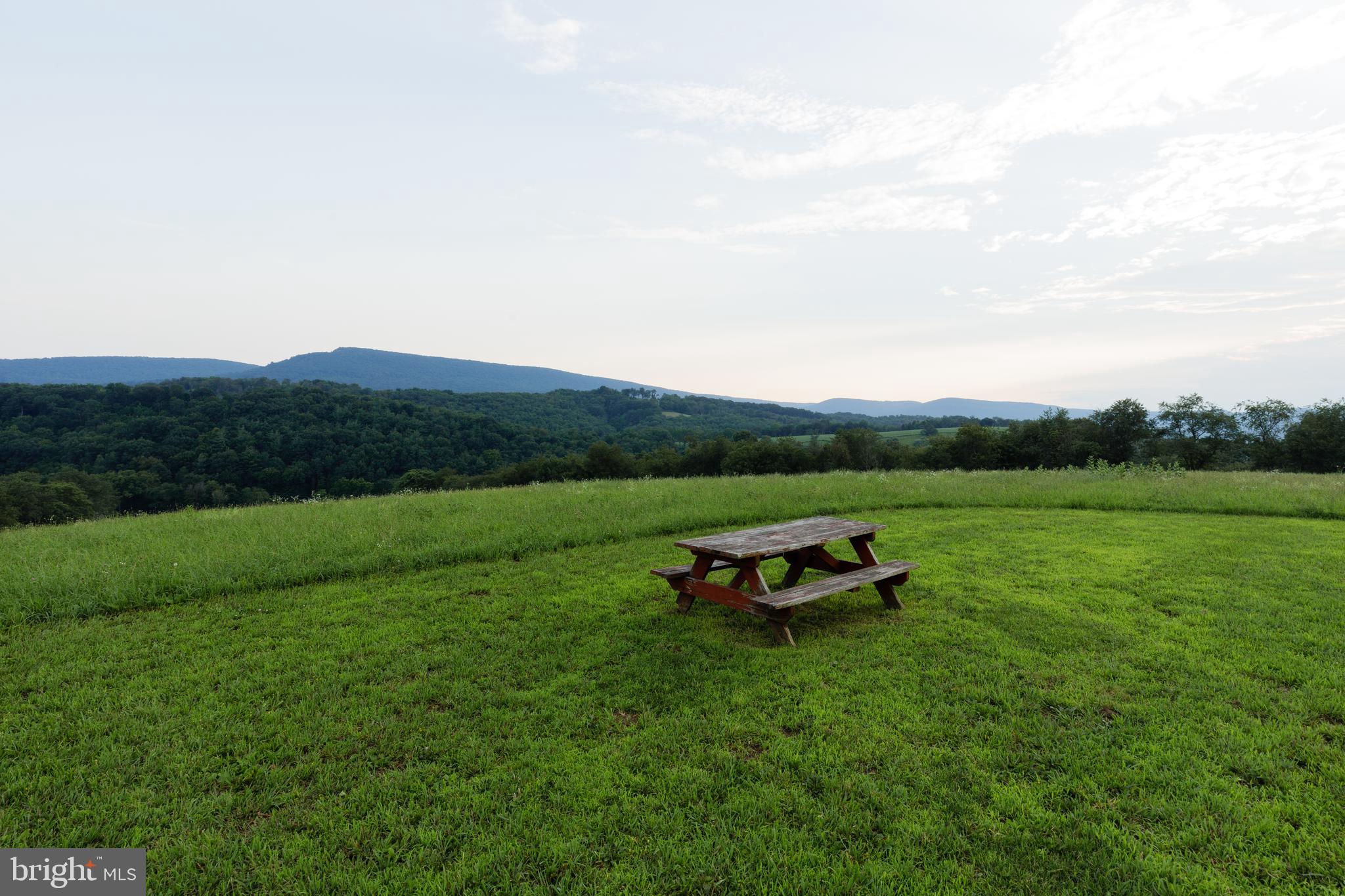 20 ACRE WOODS - Farm