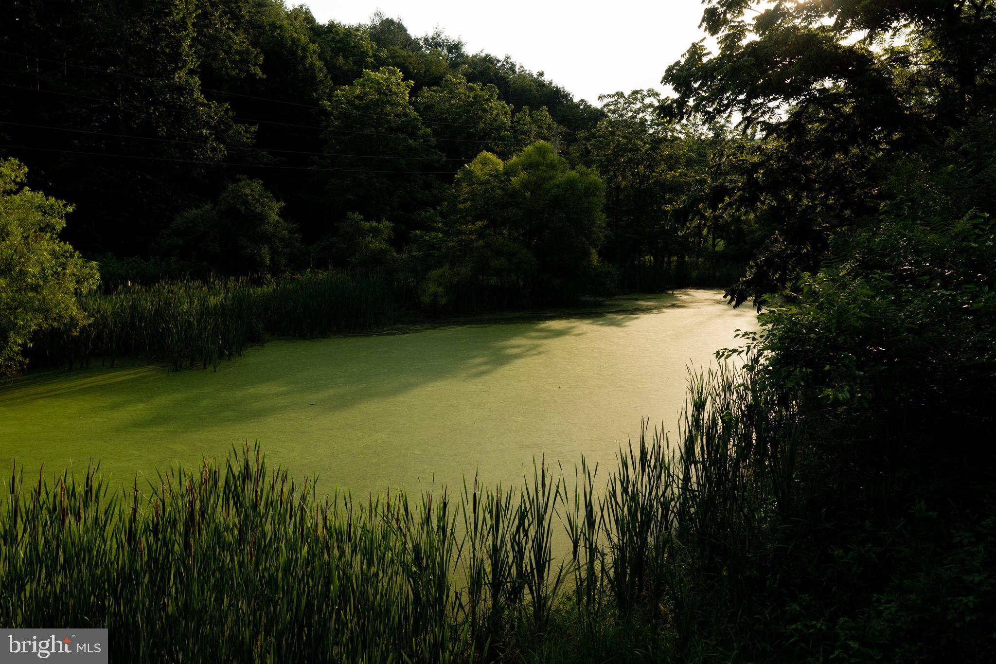 20 ACRE WOODS - Farm