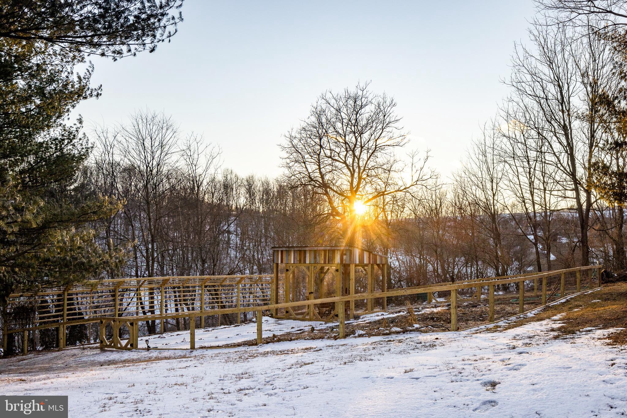 20 ACRE WOODS - Farm